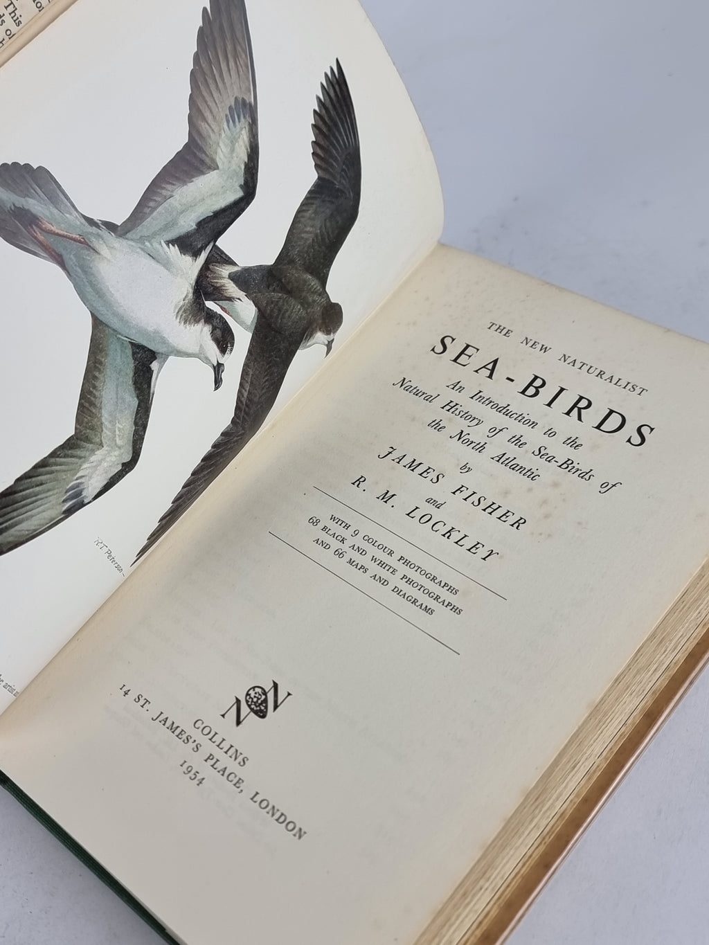 Sea-Birds, James Fisher and R. M. Lockley — 1st Edition