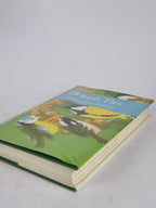 British Tits, Christopher Perrins — 1st Edition