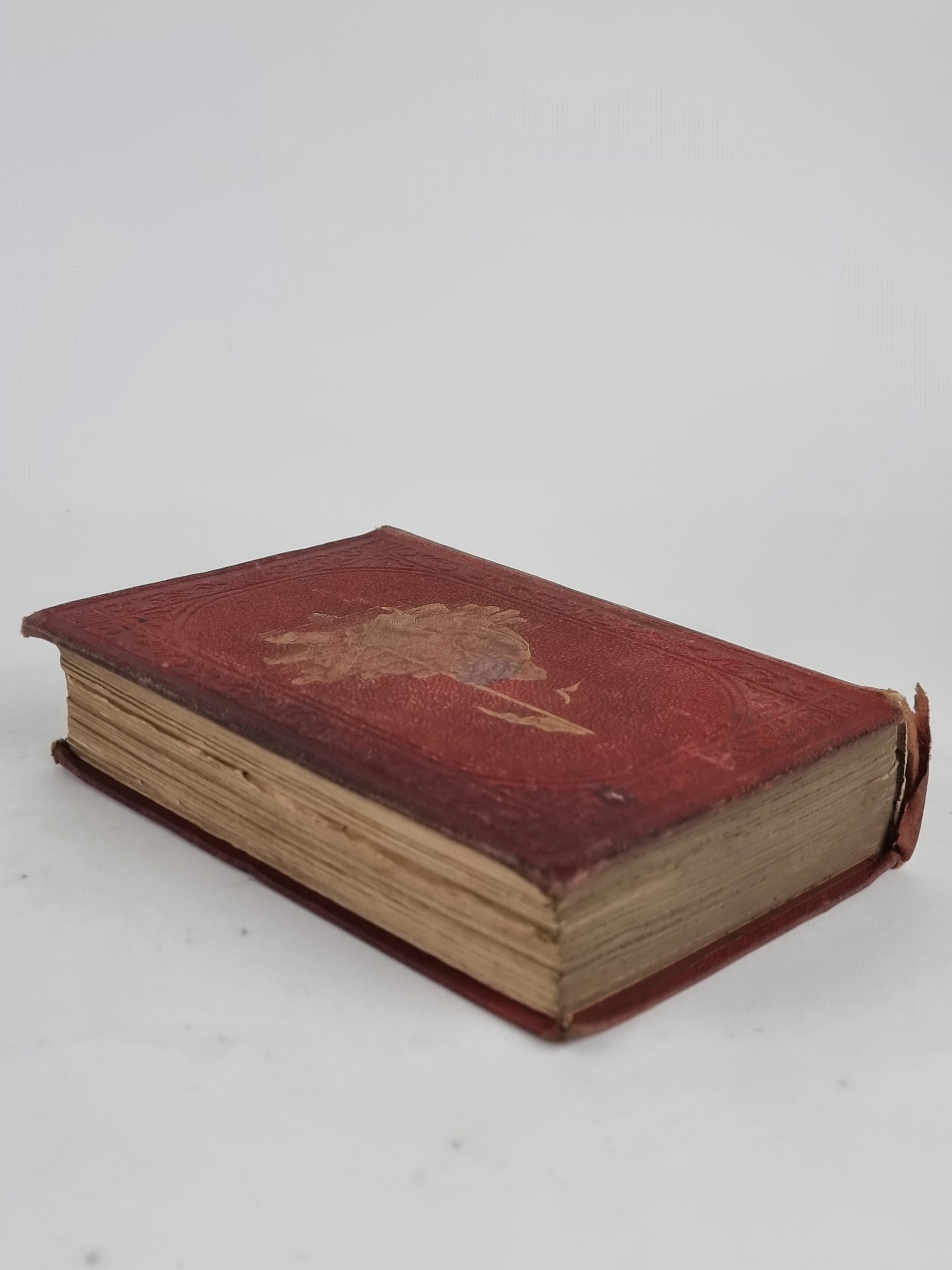 Gascoyne, The Sandal-Wood Trader: A Tale of the Pacific, R. M. Ballantyne — 1st Ed