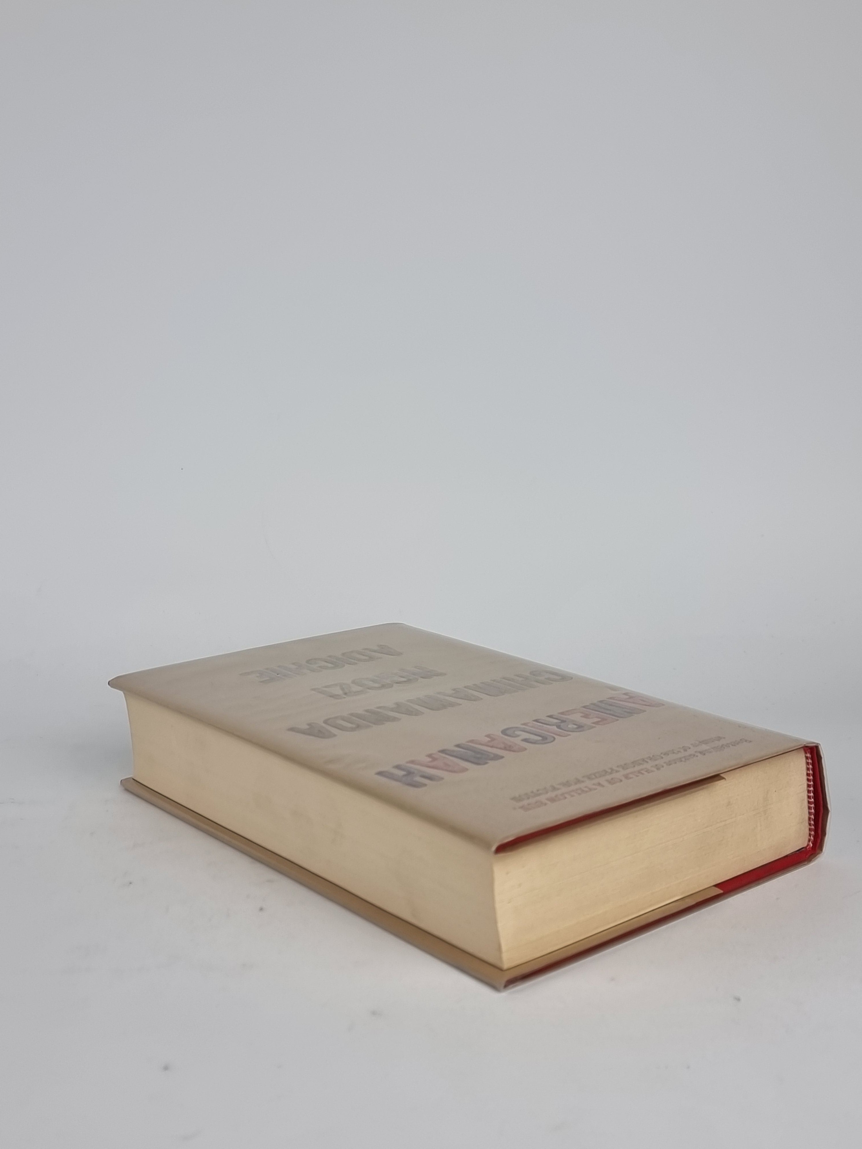 Americanah, Chimamanda Ngozi Adichie — 1st Edition