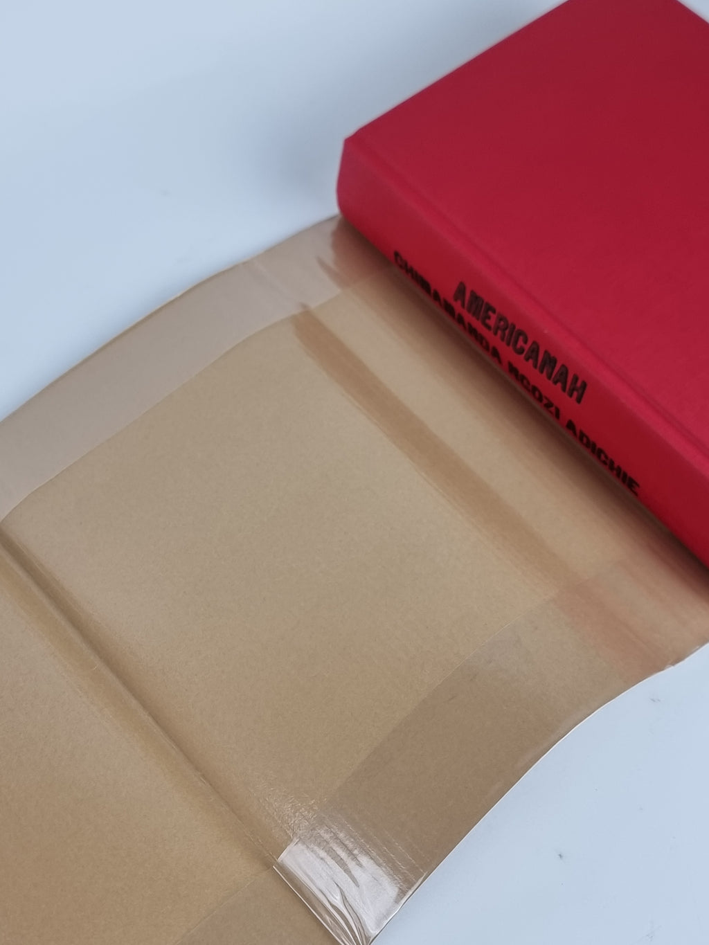 Americanah, Chimamanda Ngozi Adichie — 1st Edition