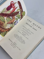 The Moths of the British Isles (Series I & Series II), Richard South — New Edition