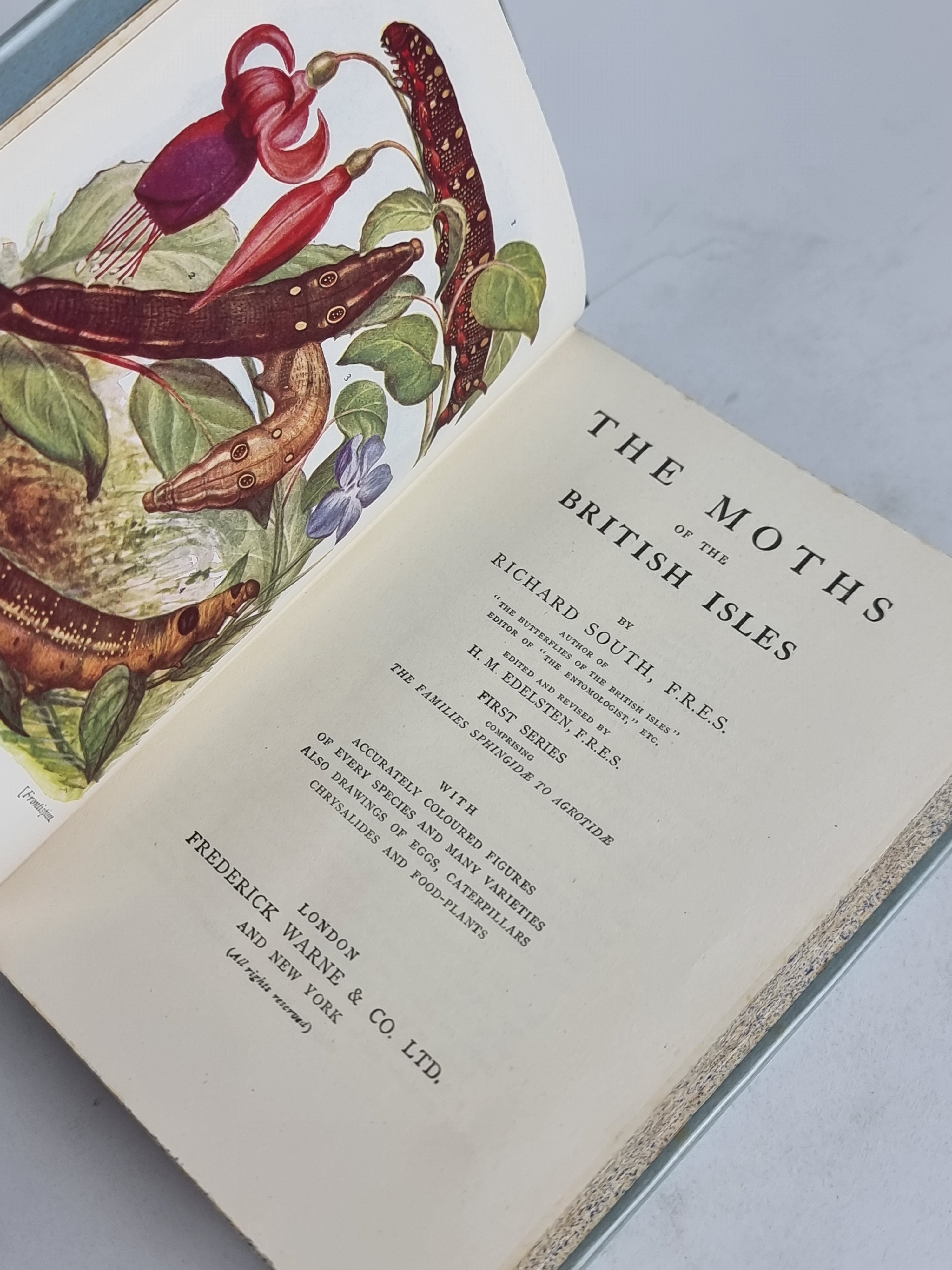 The Moths of the British Isles (Series I & Series II), Richard South — New Edition