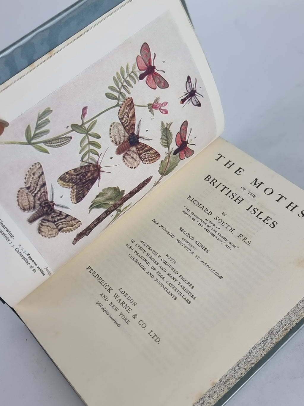 The Moths of the British Isles (Series I & Series II), Richard South — New Edition