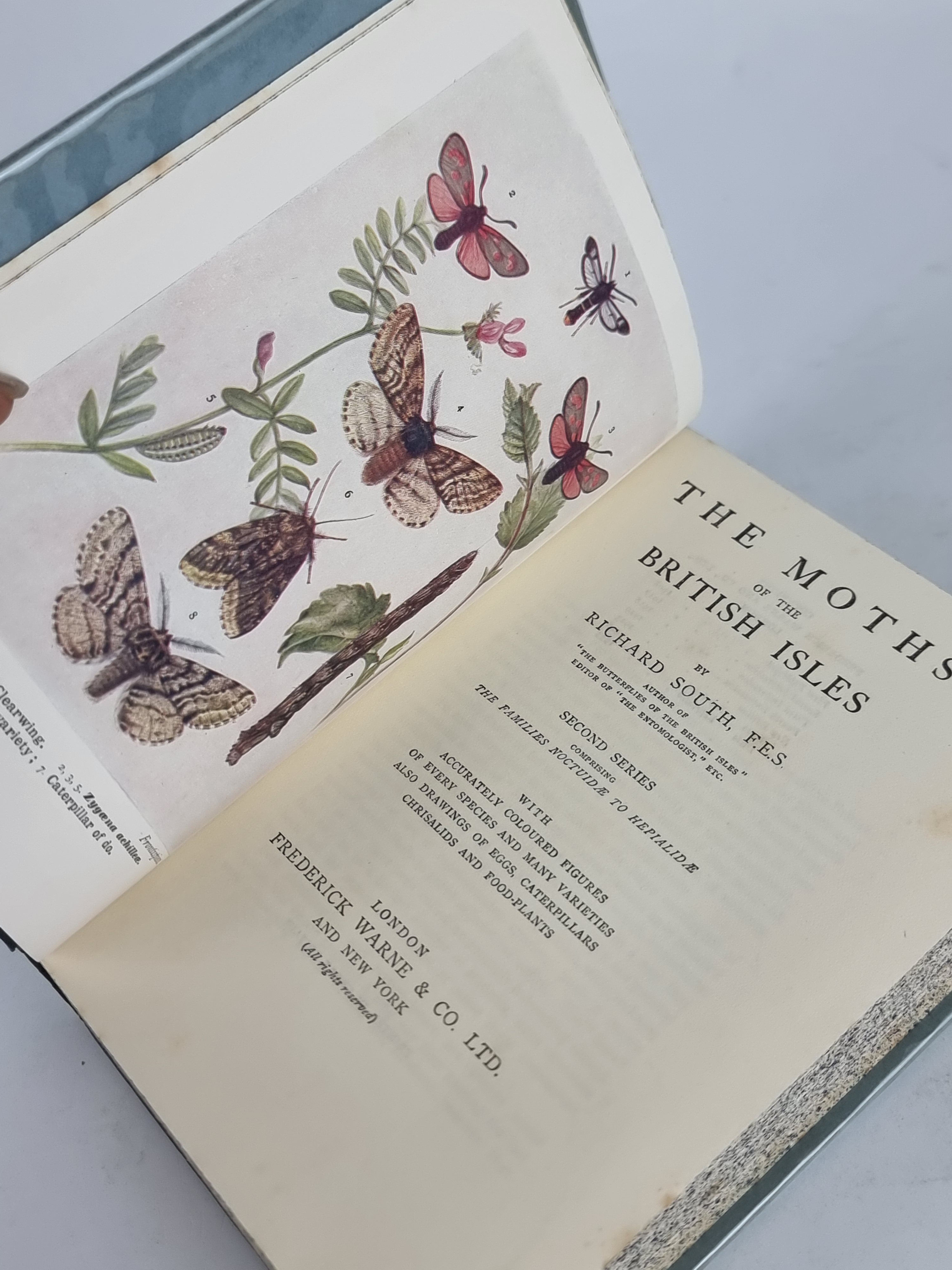 The Moths of the British Isles (Series I & Series II), Richard South — New Edition