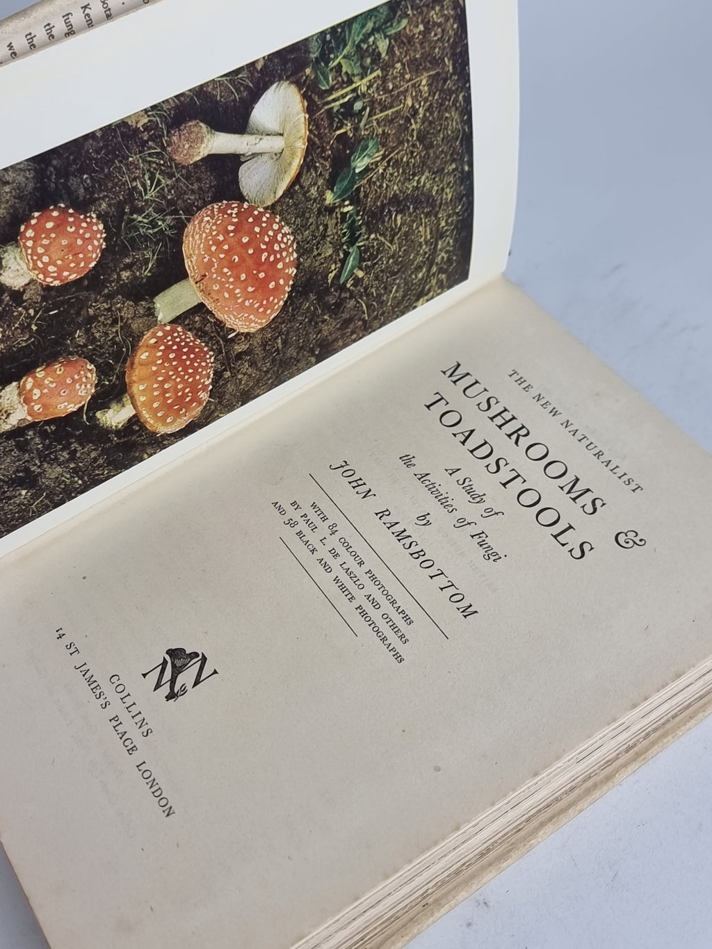 Mushrooms & Toadstools, John Ramsbottom — 2nd Edition