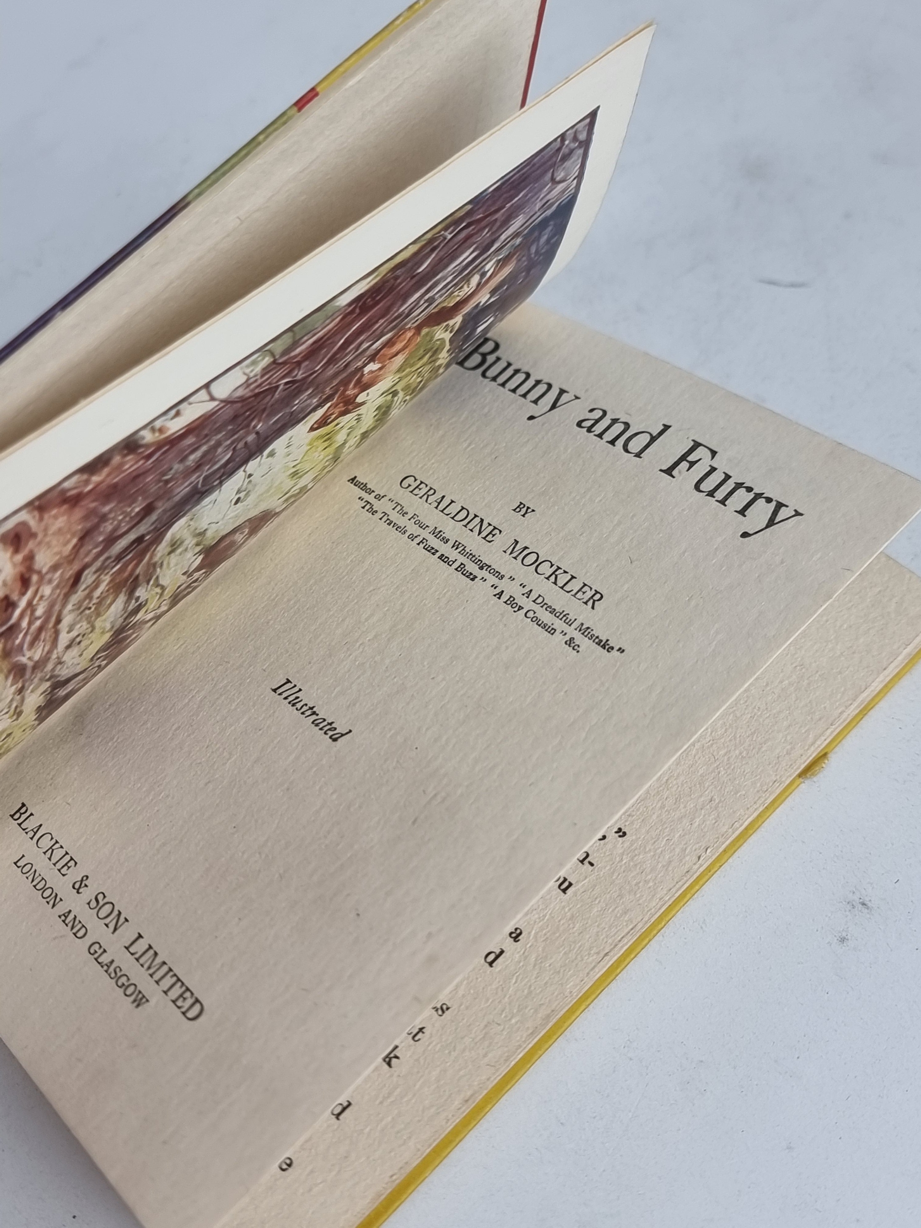 Bunny and Furry, Geraldine Mockler — Early Edition
