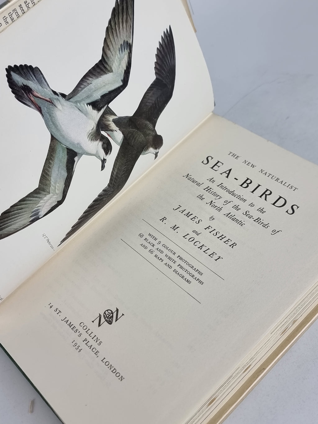 Sea-Birds,  James Fisher and R. M. Lockley — 1st Edition