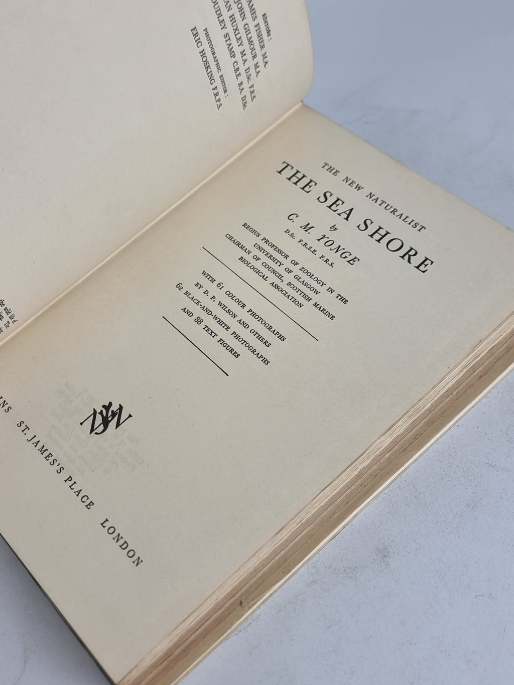 The Sea Shore, C. M. Yonge — 1958 Reprint