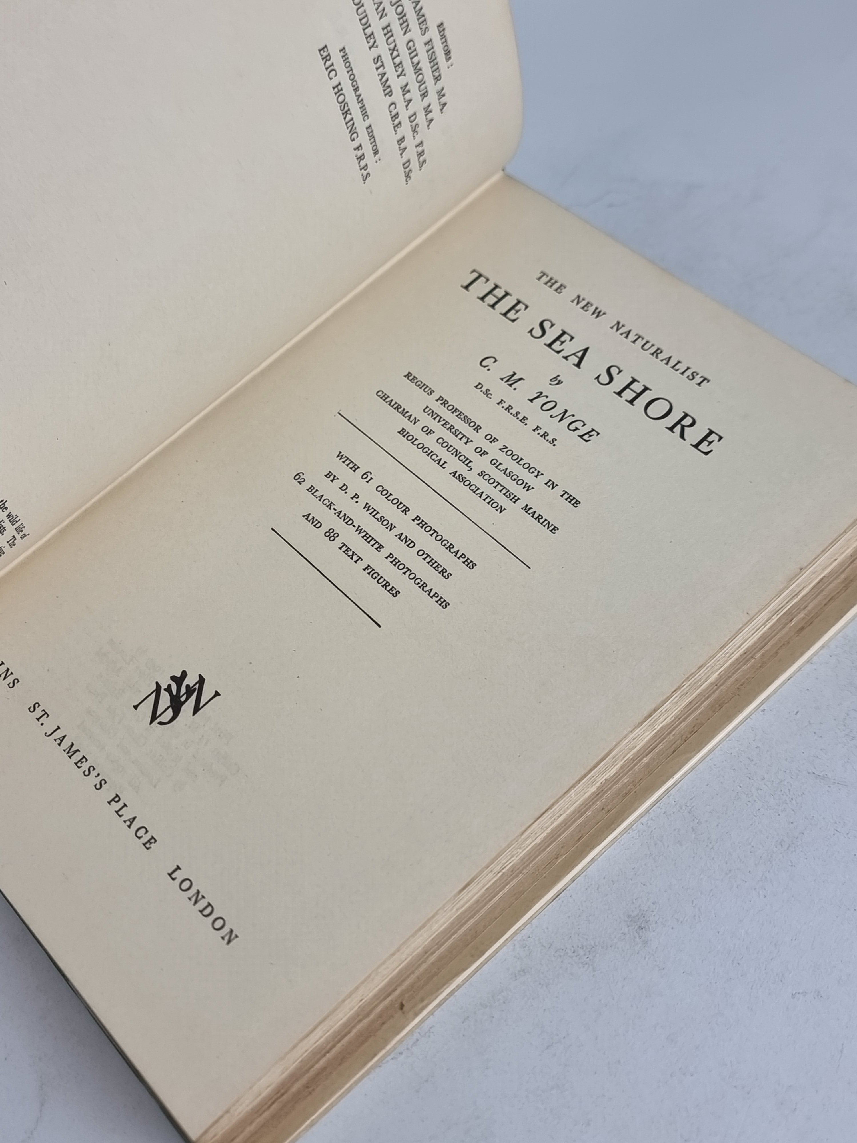 The Sea Shore, C. M. Yonge — 1958 Reprint
