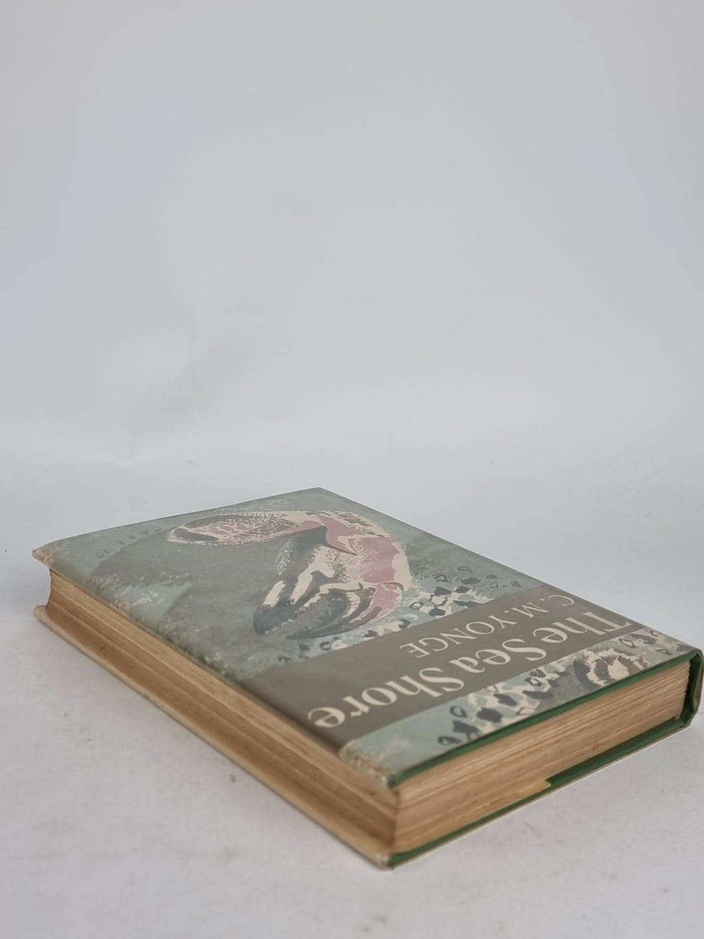 The Sea Shore, C. M. Yonge — 1958 Reprint