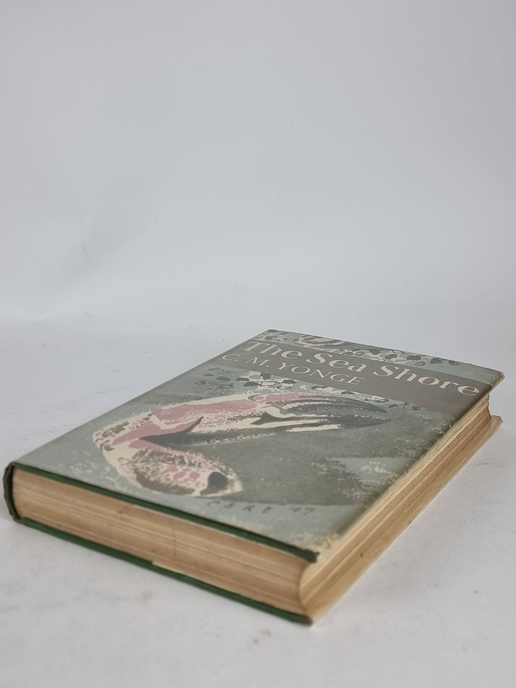 The Sea Shore, C. M. Yonge — 1958 Reprint
