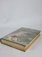 The Sea Shore, C. M. Yonge — 1958 Reprint