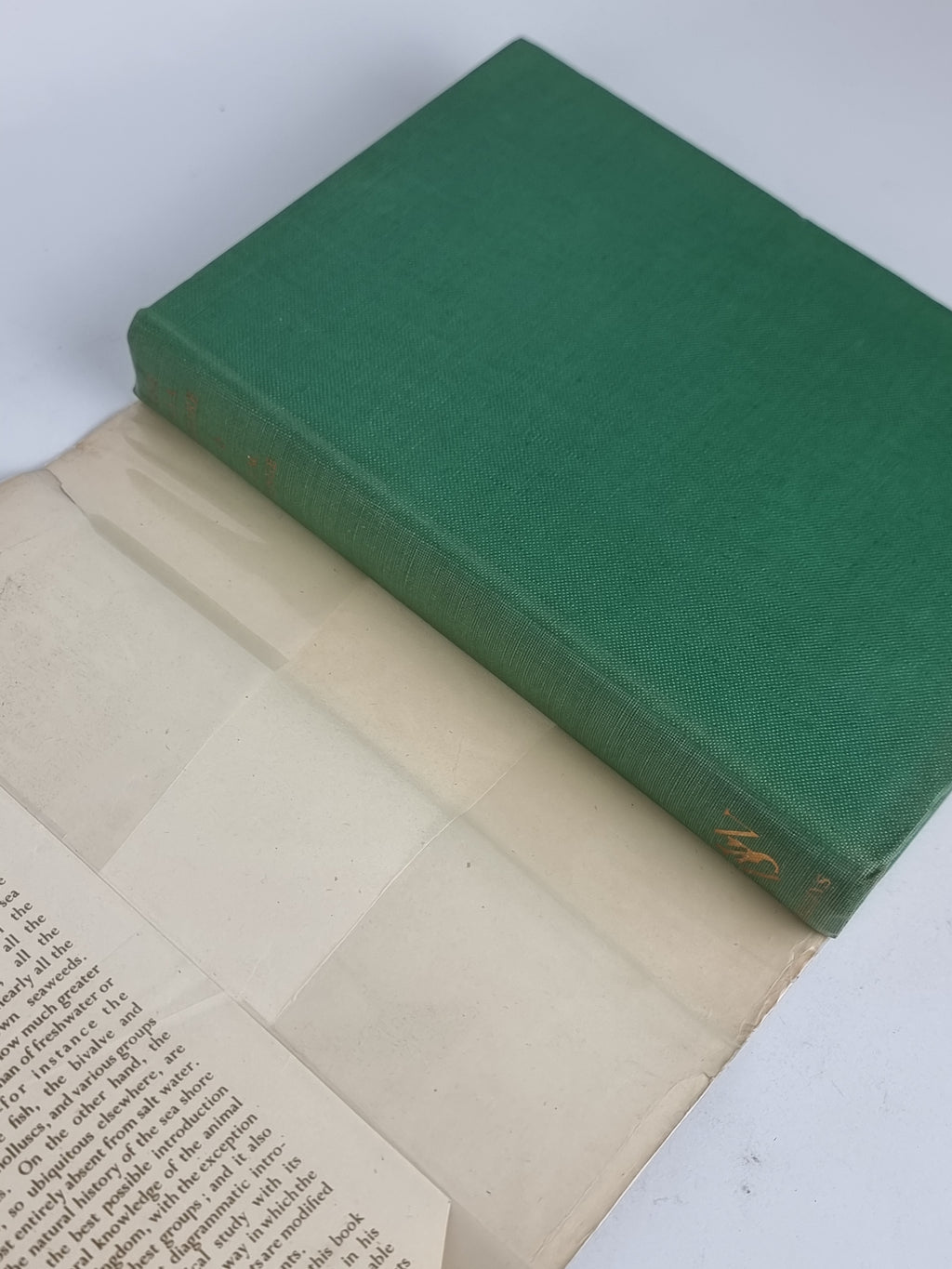 The Sea Shore, C. M. Yonge — 1958 Reprint