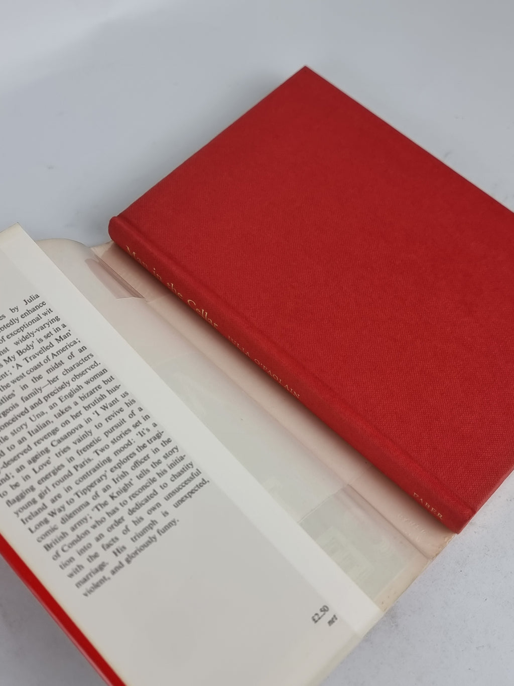 Man in the Cellar, Julia O'Faolain — 1st Edition