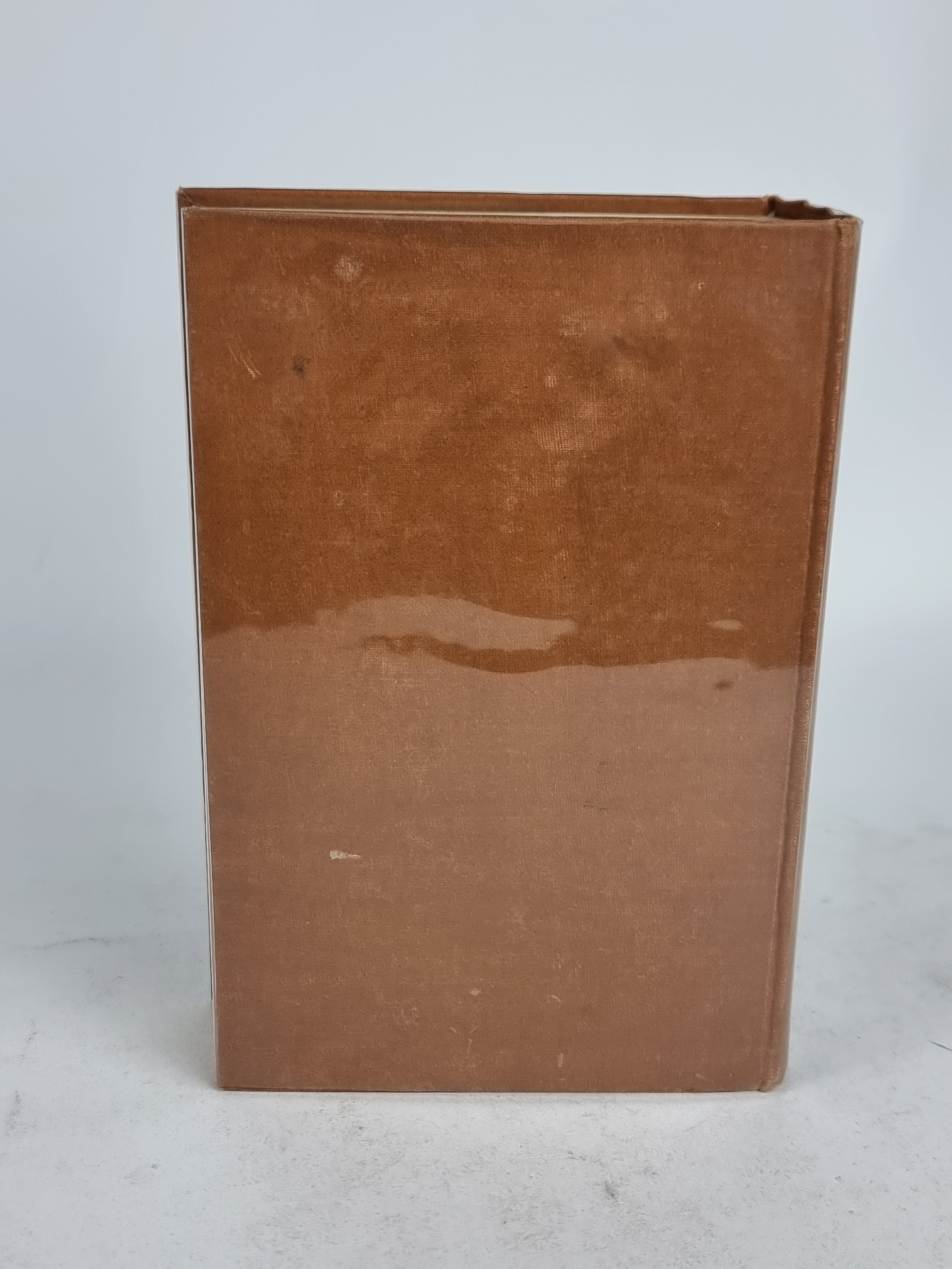 The Mystery of the Rue de Babylone, John N. Raphael — 1st Edition