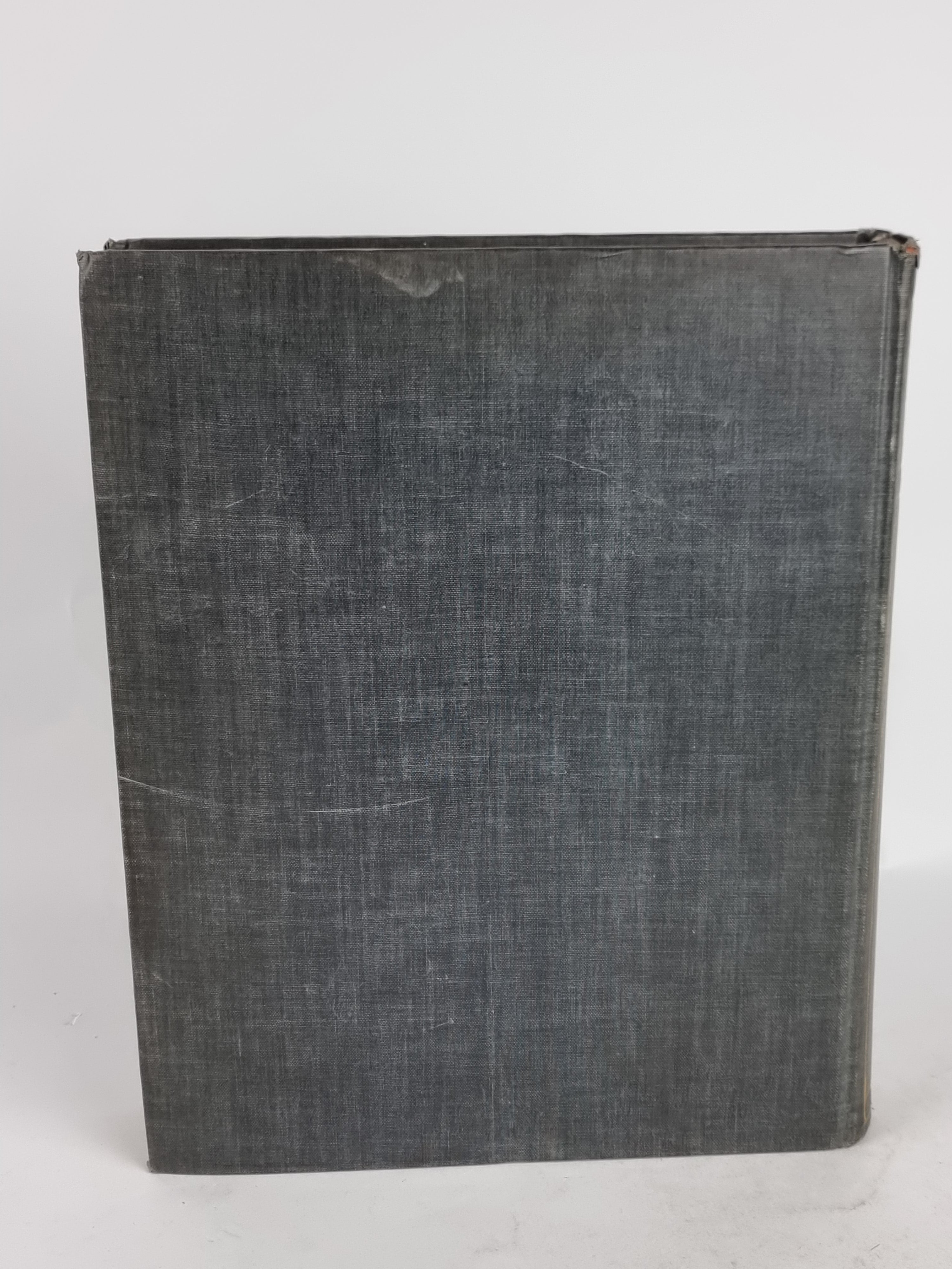 A Catalogue of Paintings in the Collection of Jules S. Bache — 1st Edition