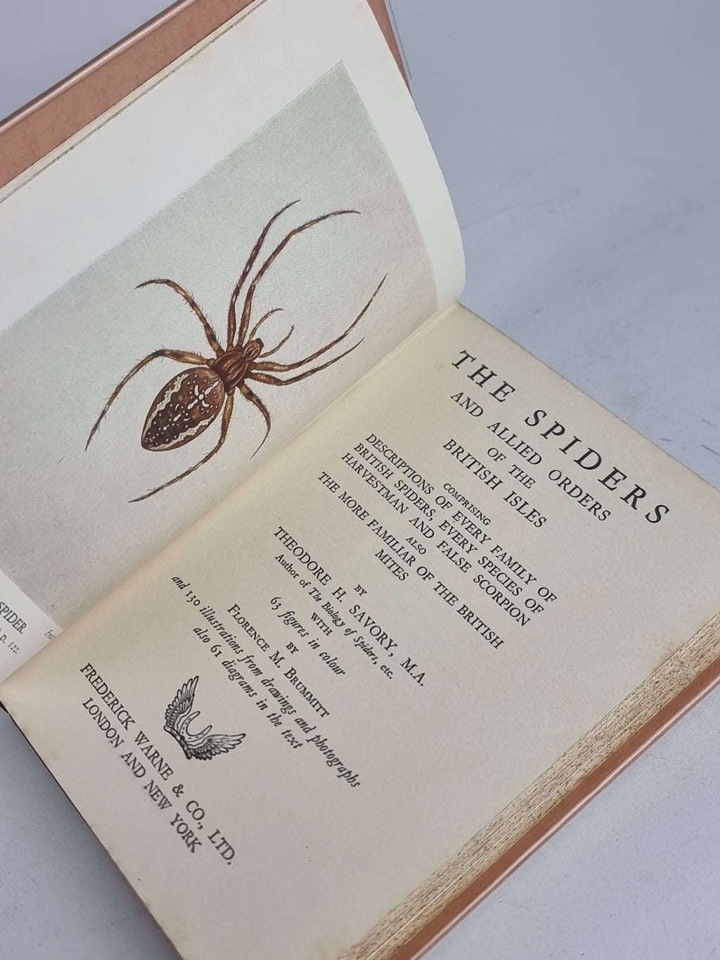 The Spiders & Allied Orders of the British Isles, Theodore H. Savory — 1st Ed