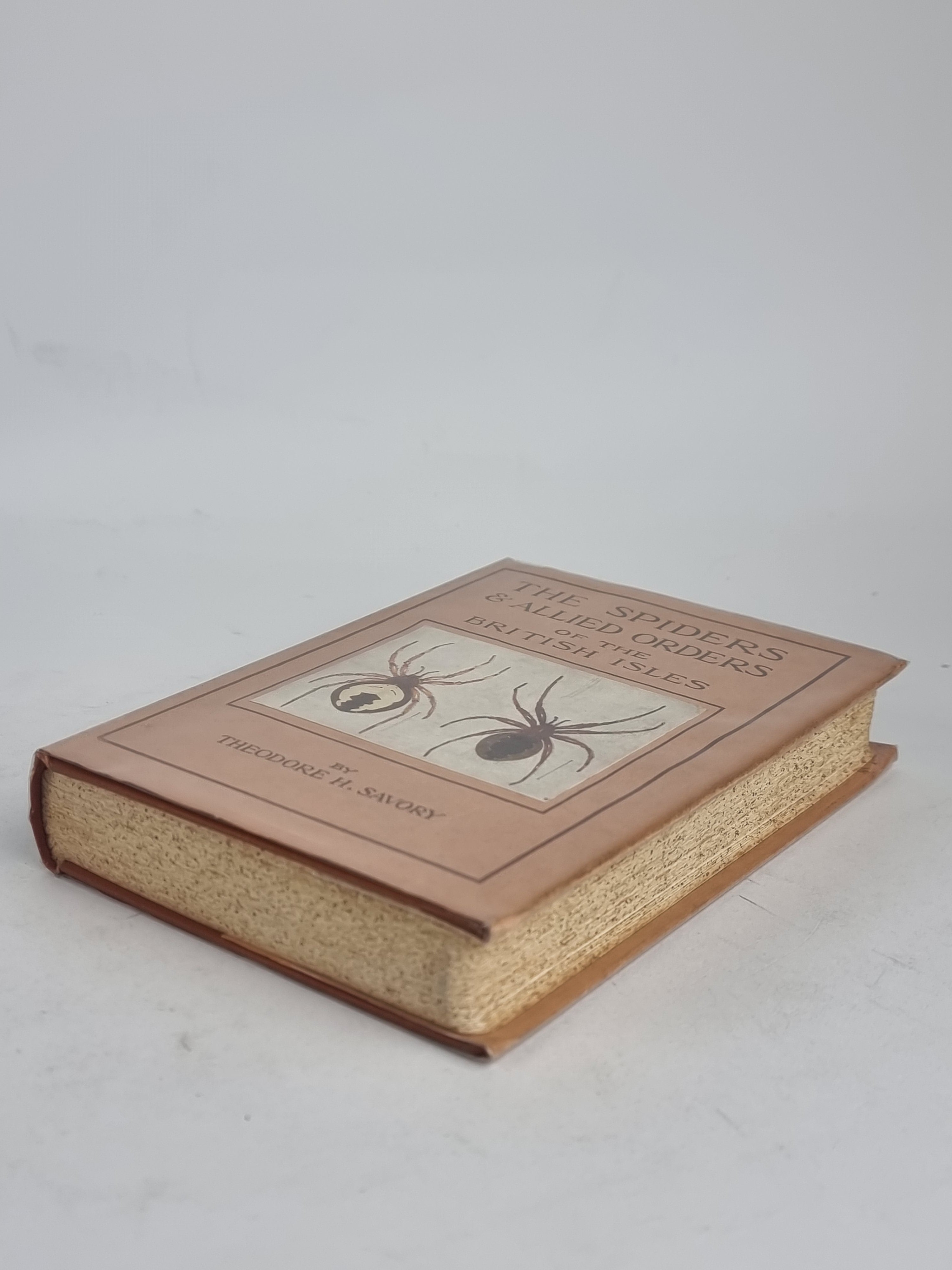 The Spiders & Allied Orders of the British Isles, Theodore H. Savory — 1st Ed