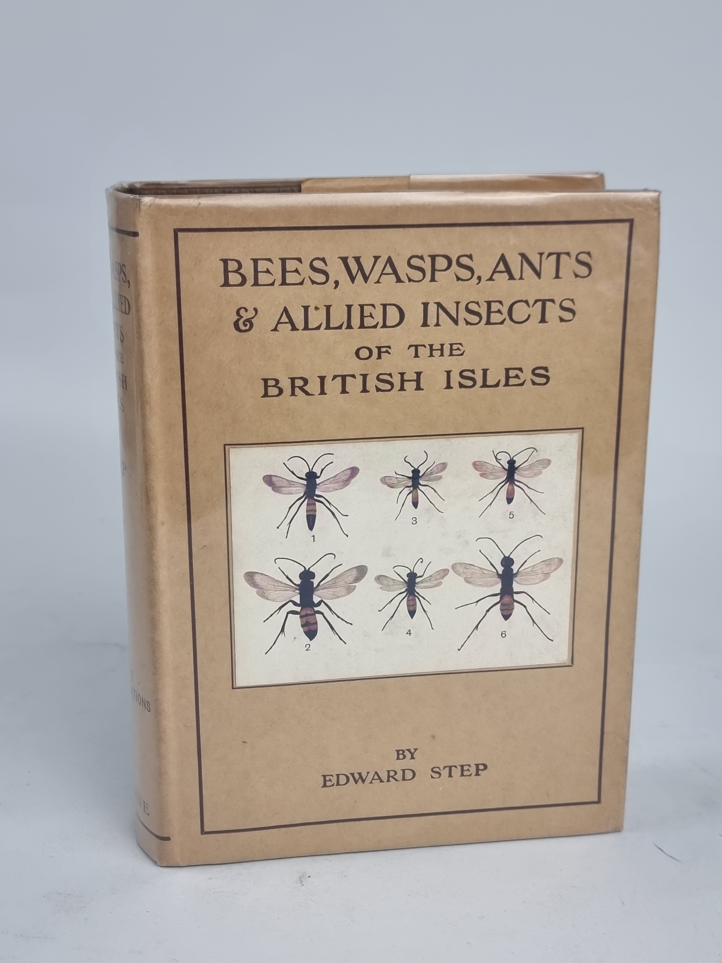 Bees, Wasps, Ants and Allied Insects of the British Isles, Edward Step — 1st Ed