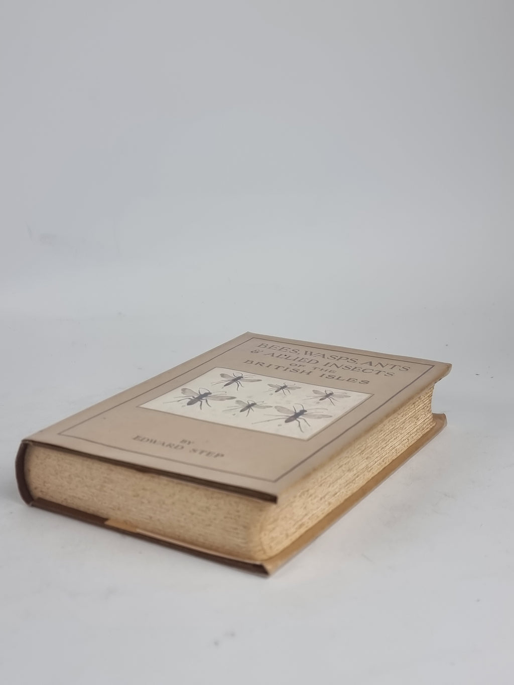 Bees, Wasps, Ants and Allied Insects of the British Isles, Edward Step — 1st Ed