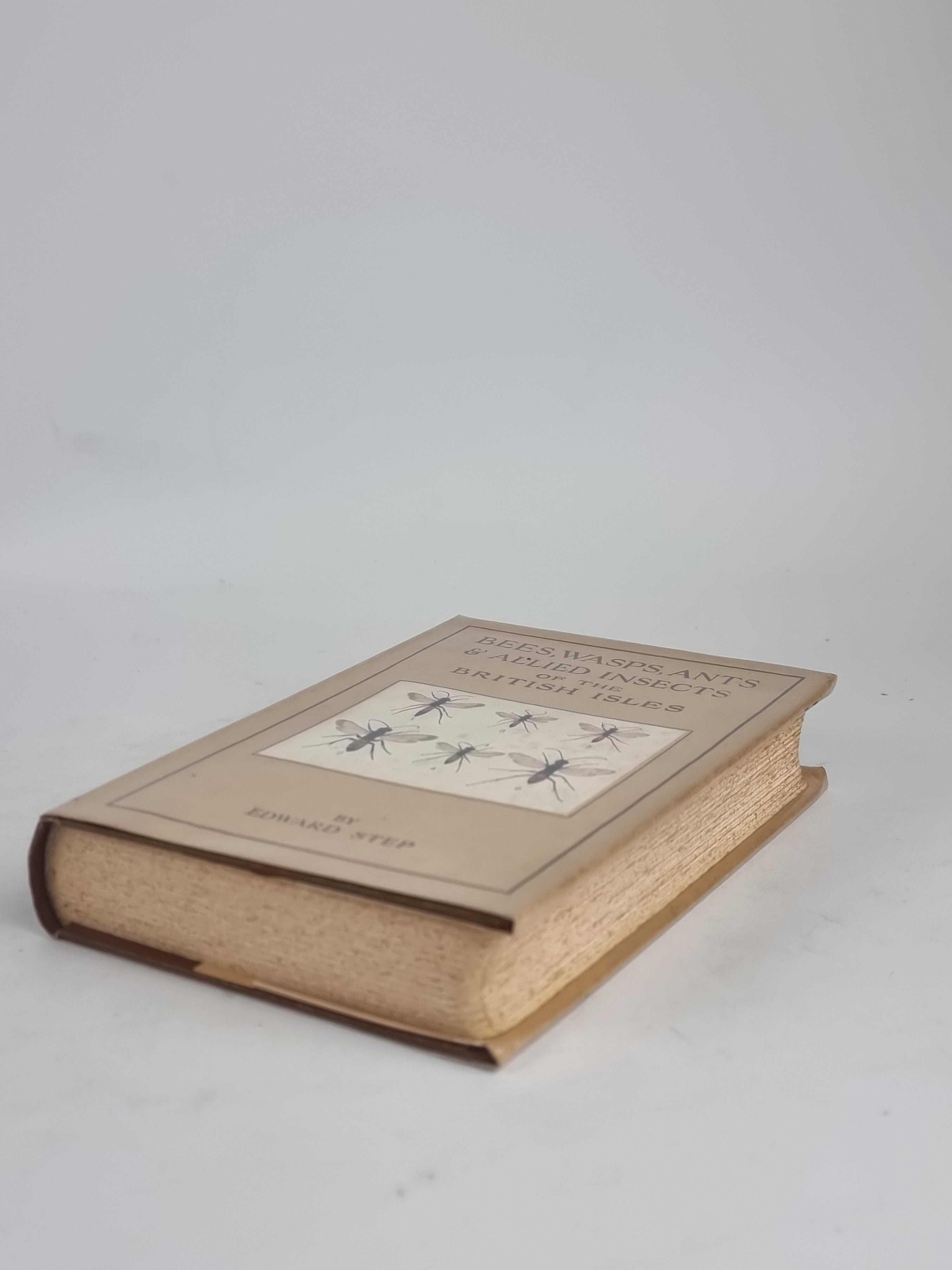 Bees, Wasps, Ants and Allied Insects of the British Isles, Edward Step — 1st Ed