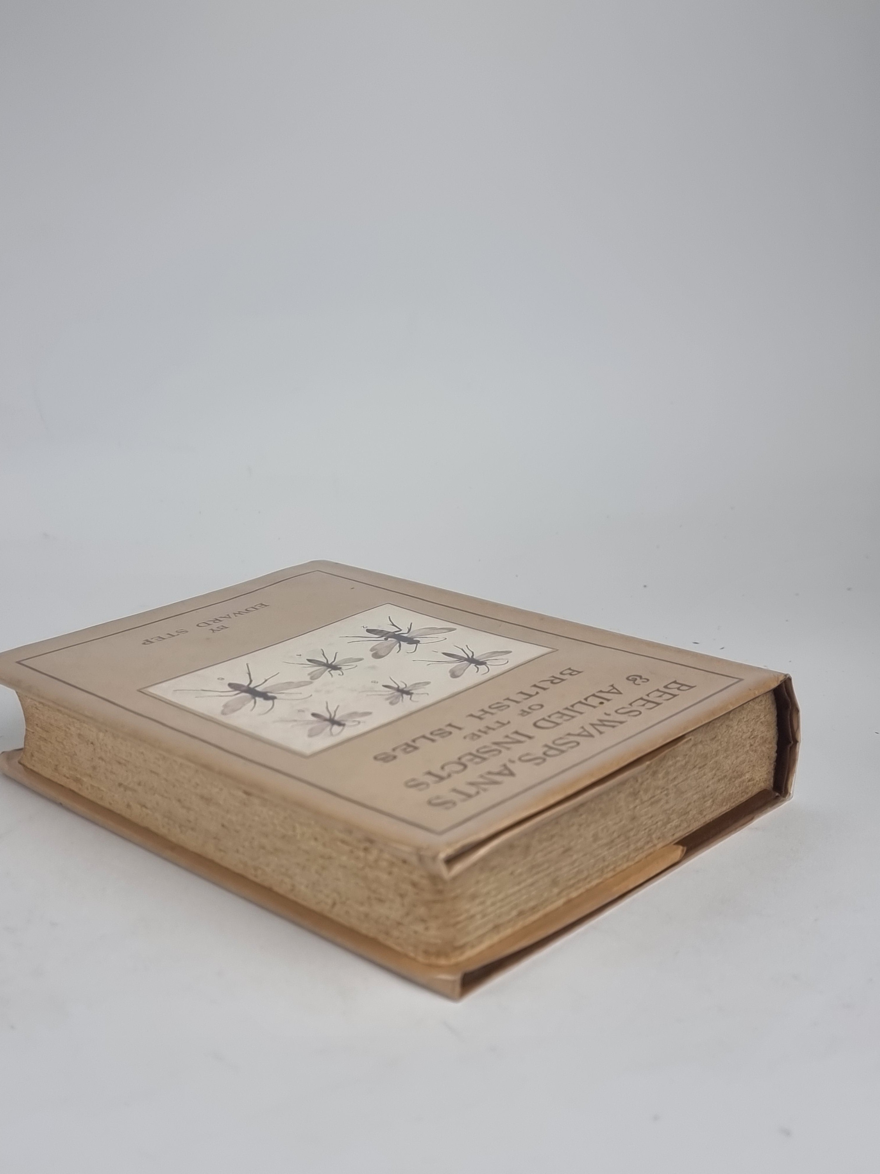 Bees, Wasps, Ants and Allied Insects of the British Isles, Edward Step — 1st Ed