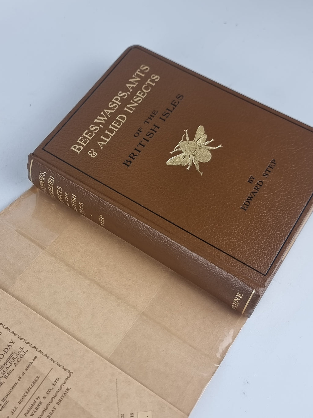 Bees, Wasps, Ants and Allied Insects of the British Isles, Edward Step — 1st Ed