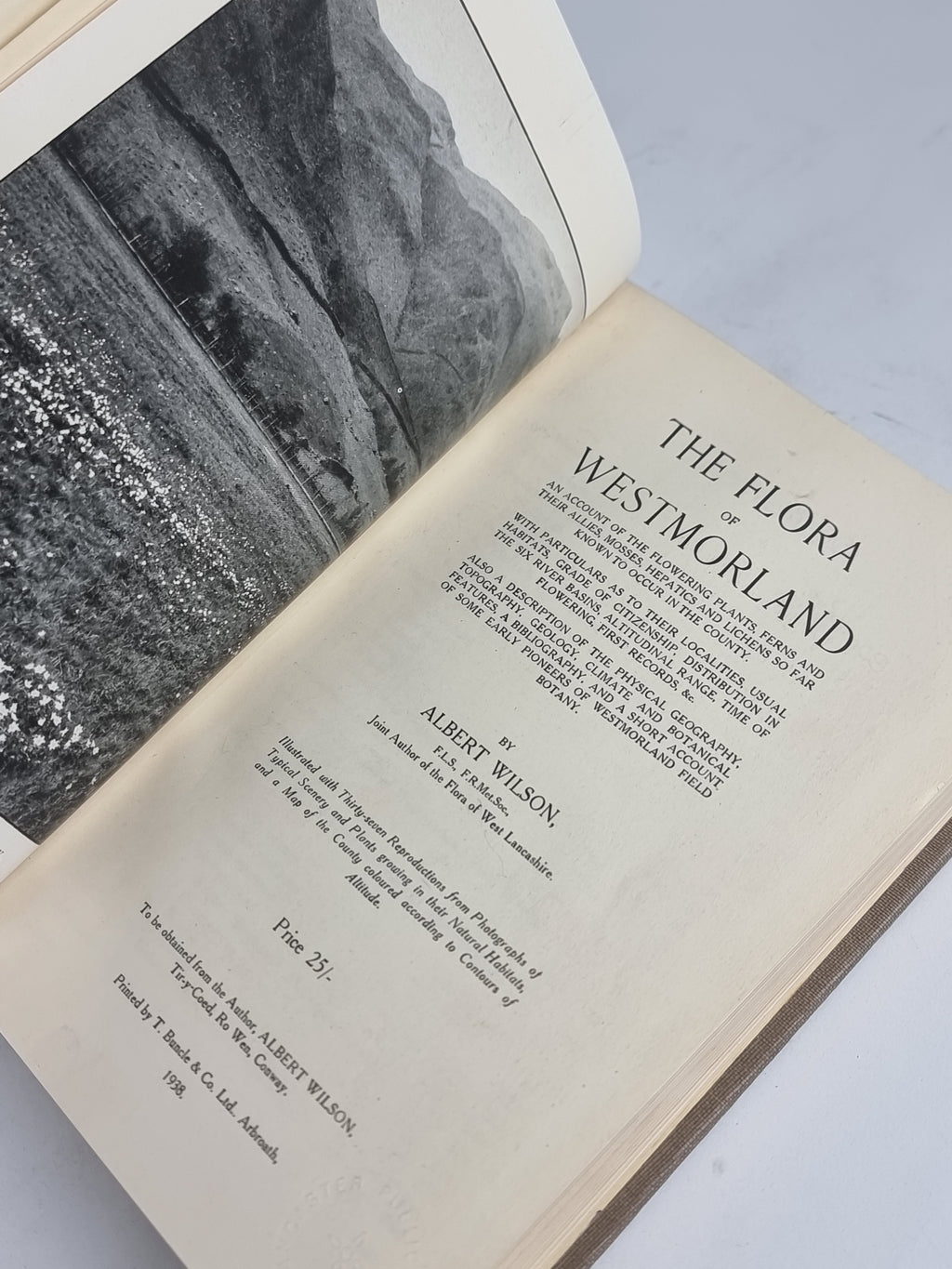 The Flora of Westmorland, Albert Wilson — 1st Edition