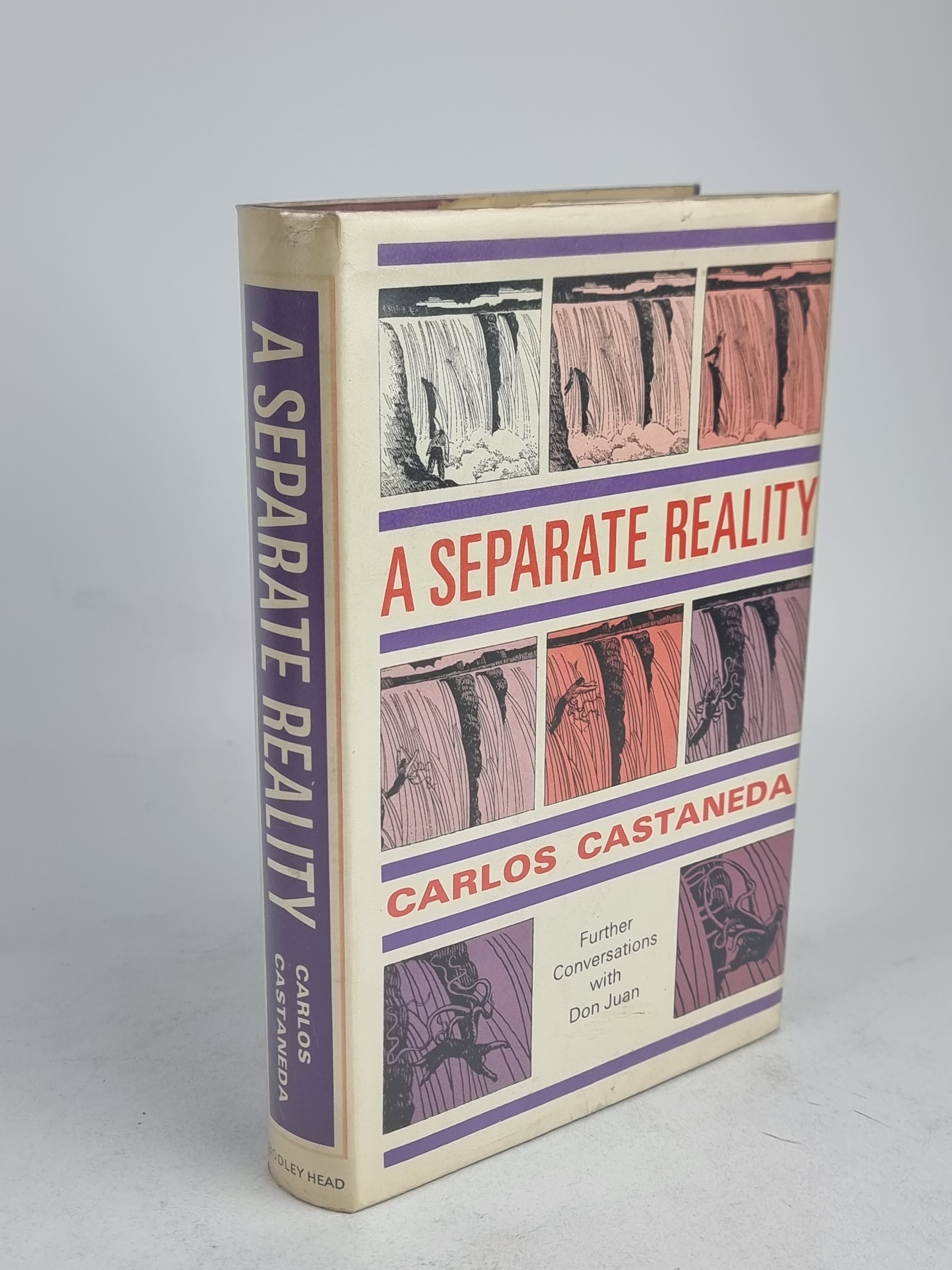 A Separate Reality: Further Conversations with Don Juan, Carlos Castaneda