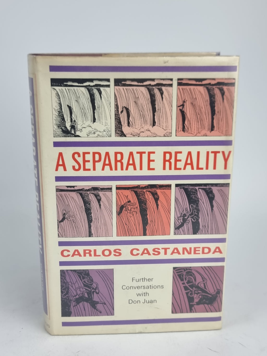 A Separate Reality: Further Conversations with Don Juan, Carlos Castaneda
