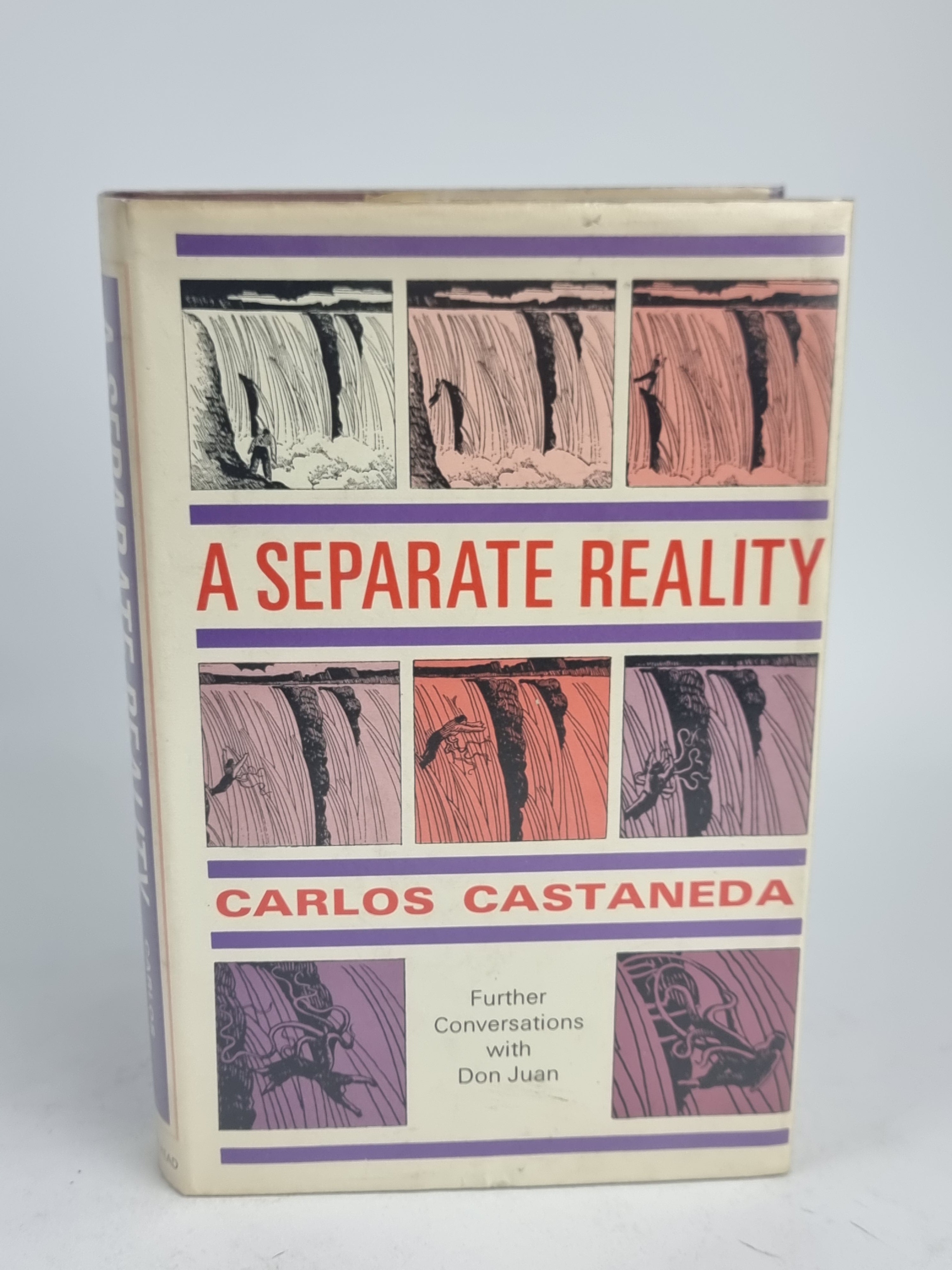 A Separate Reality: Further Conversations with Don Juan, Carlos Castaneda