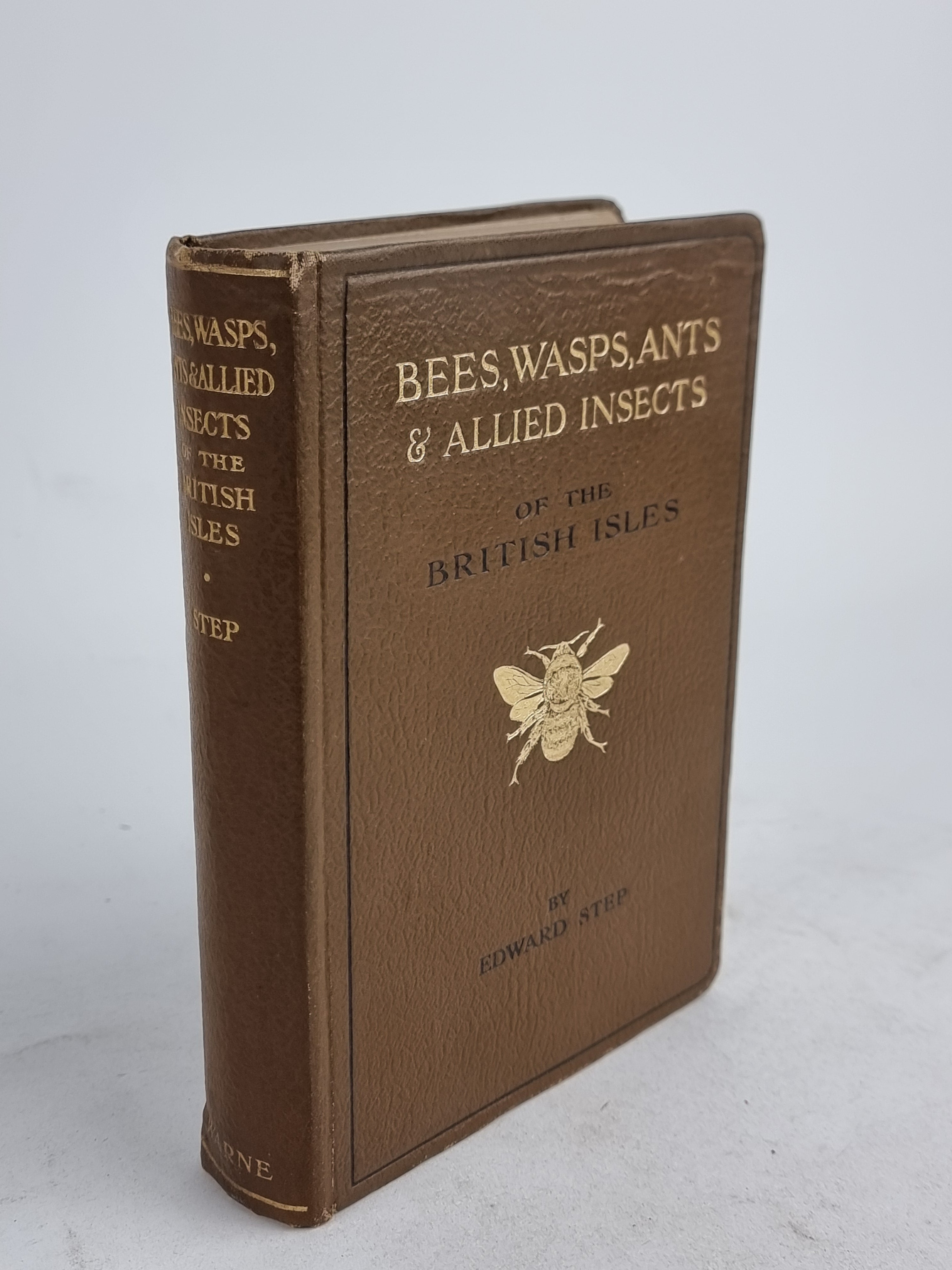 Bees, Wasps, Ants & Allied Insects of the British Isles, Edward Step — 1st Edition