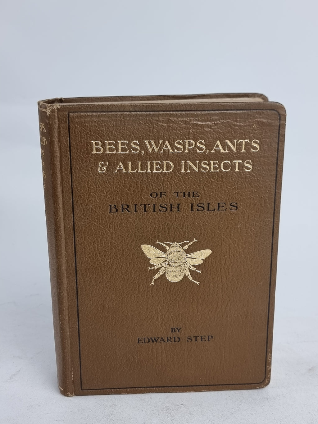 Bees, Wasps, Ants & Allied Insects of the British Isles, Edward Step — 1st Edition
