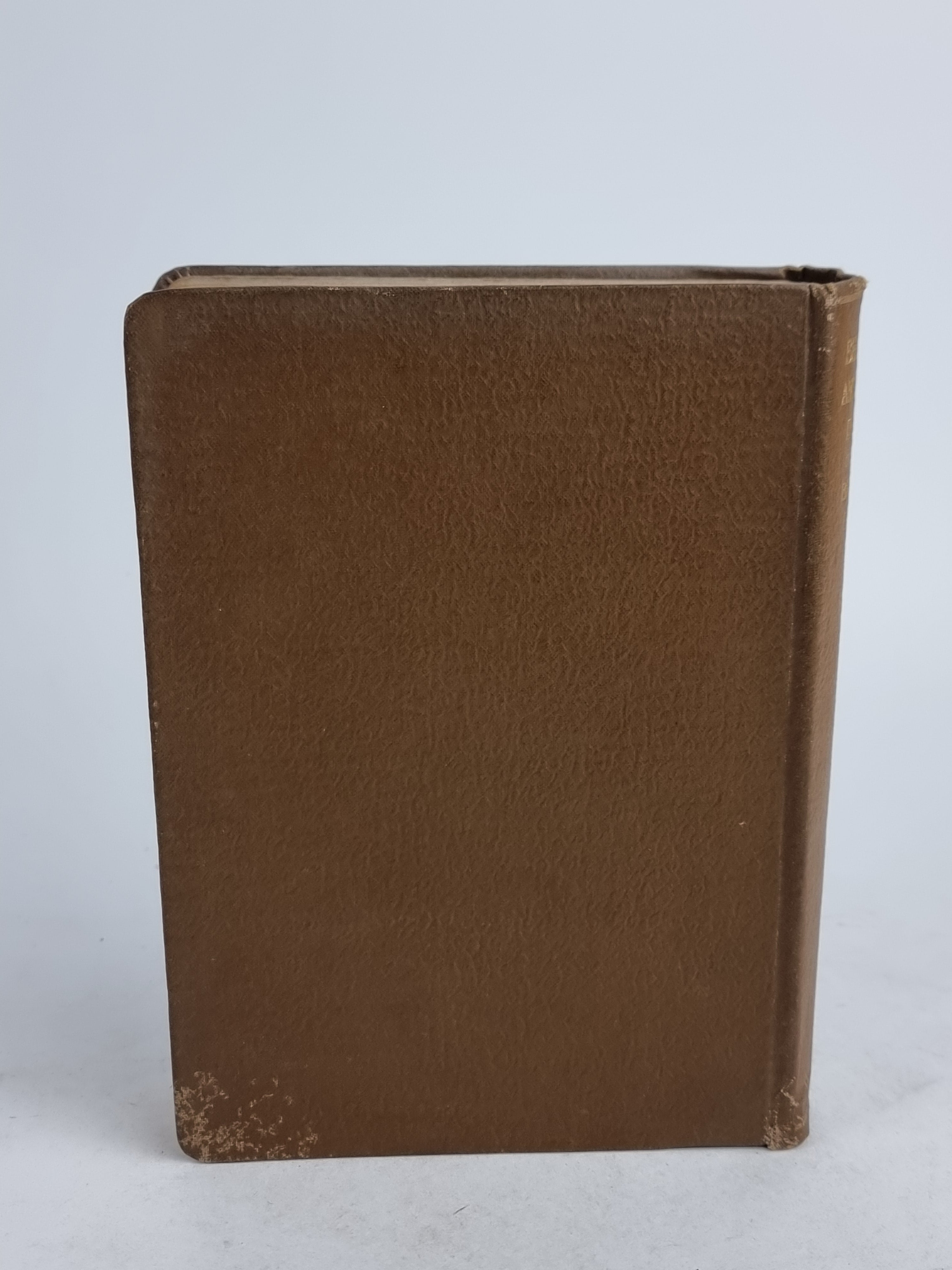 Bees, Wasps, Ants & Allied Insects of the British Isles, Edward Step — 1st Edition