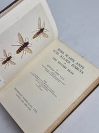 Bees, Wasps, Ants & Allied Insects of the British Isles, Edward Step — 1st Edition