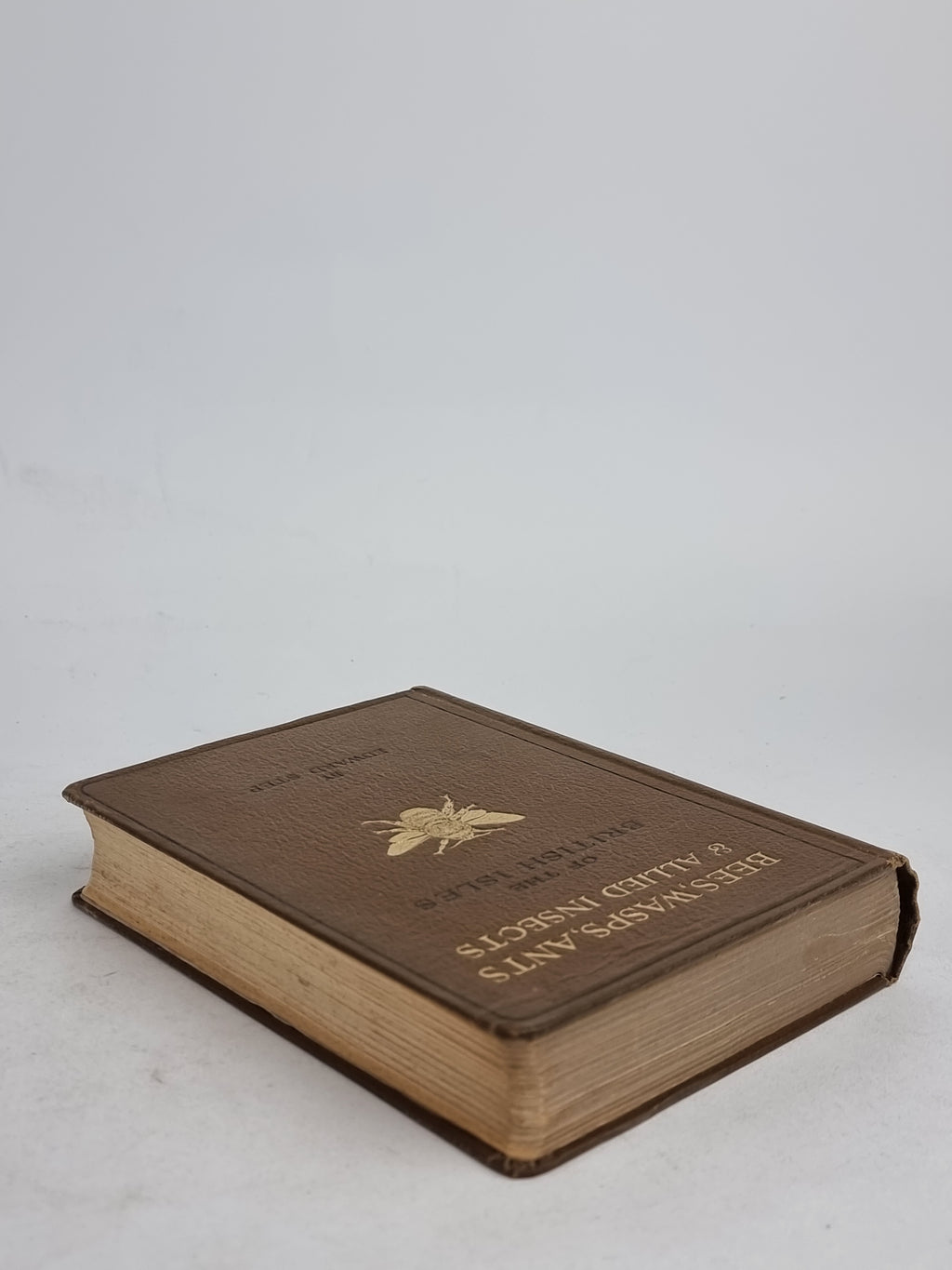 Bees, Wasps, Ants & Allied Insects of the British Isles, Edward Step — 1st Edition