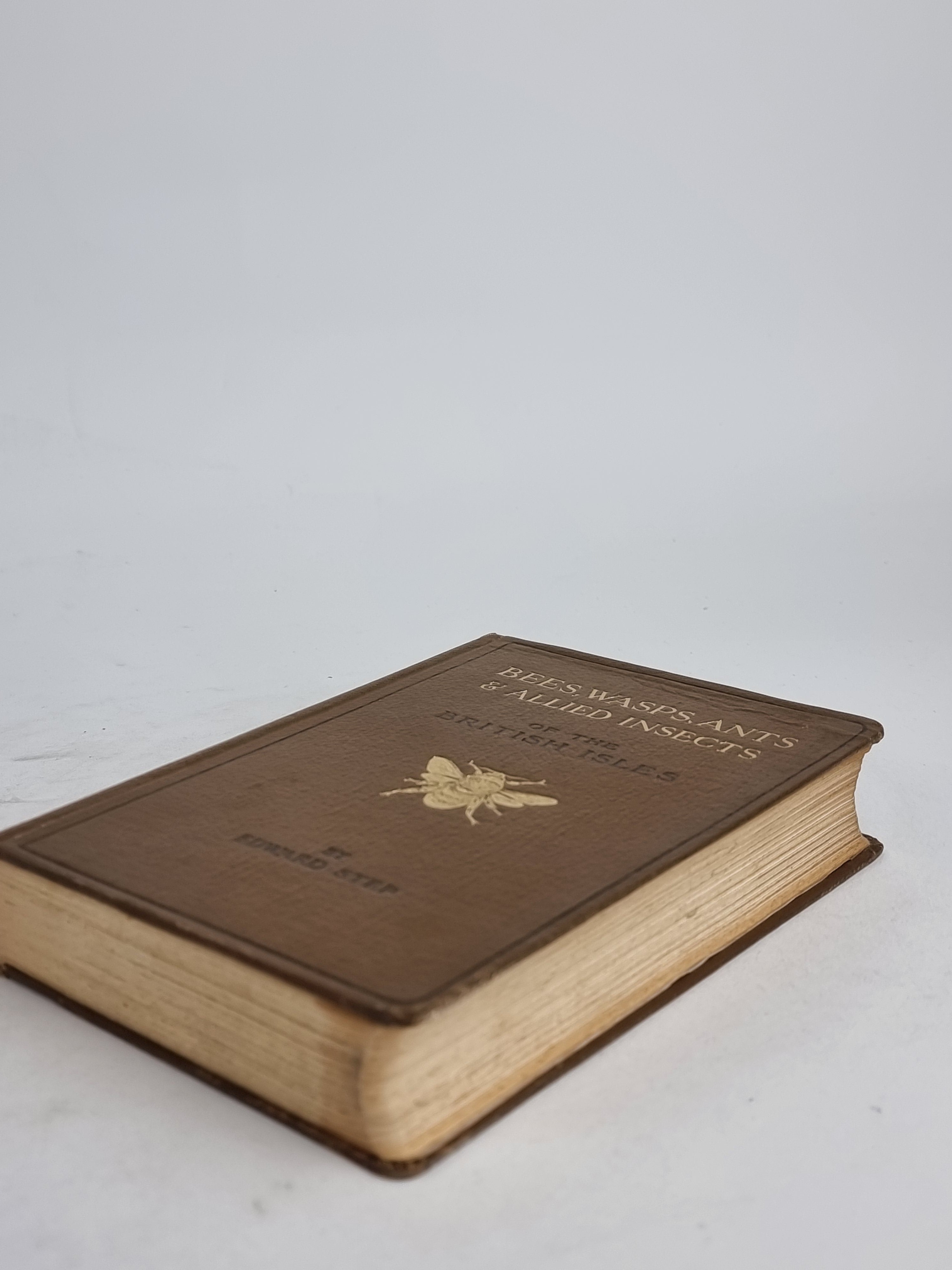 Bees, Wasps, Ants & Allied Insects of the British Isles, Edward Step — 1st Edition