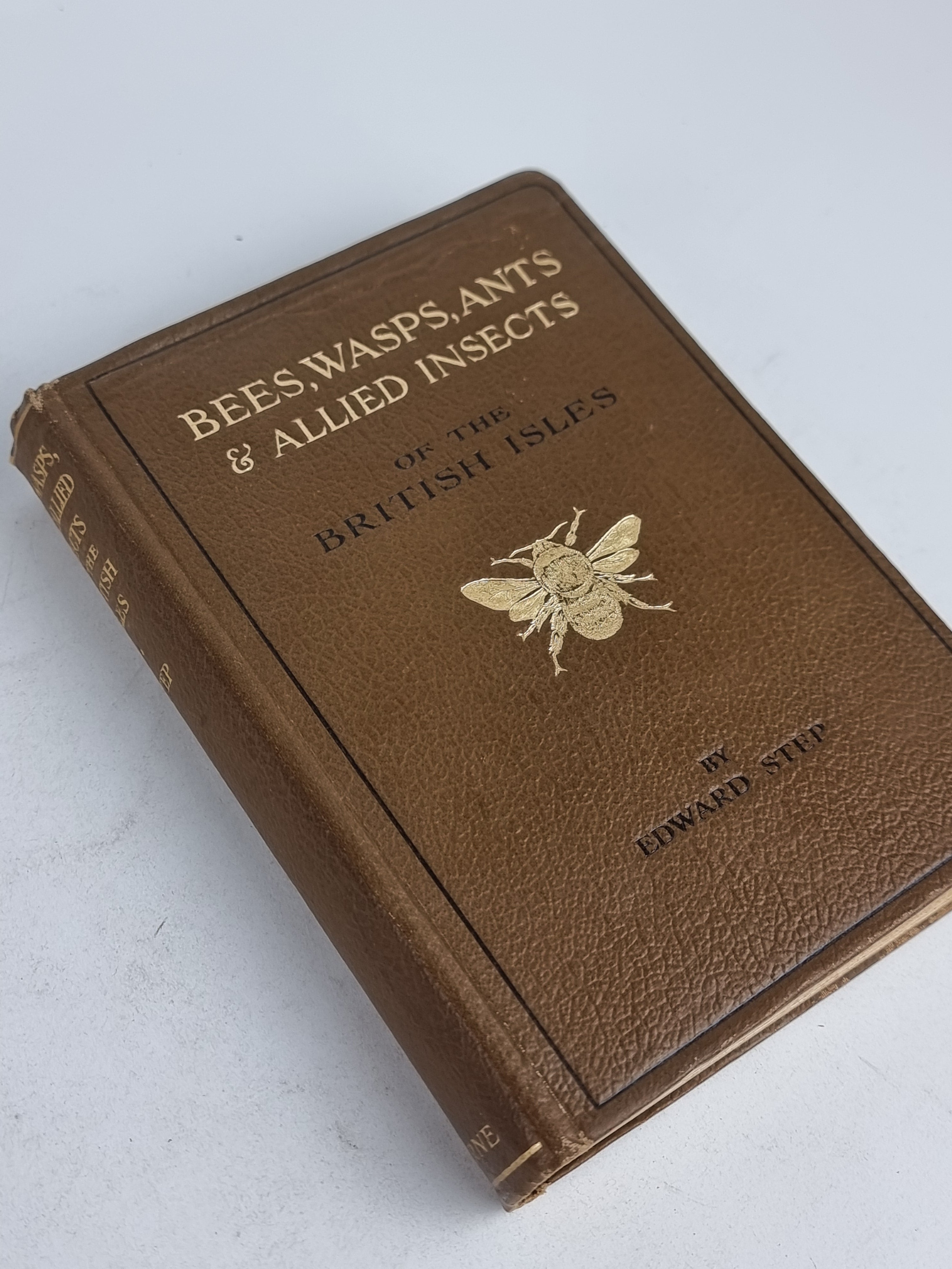 Bees, Wasps, Ants & Allied Insects of the British Isles, Edward Step — 1st Edition