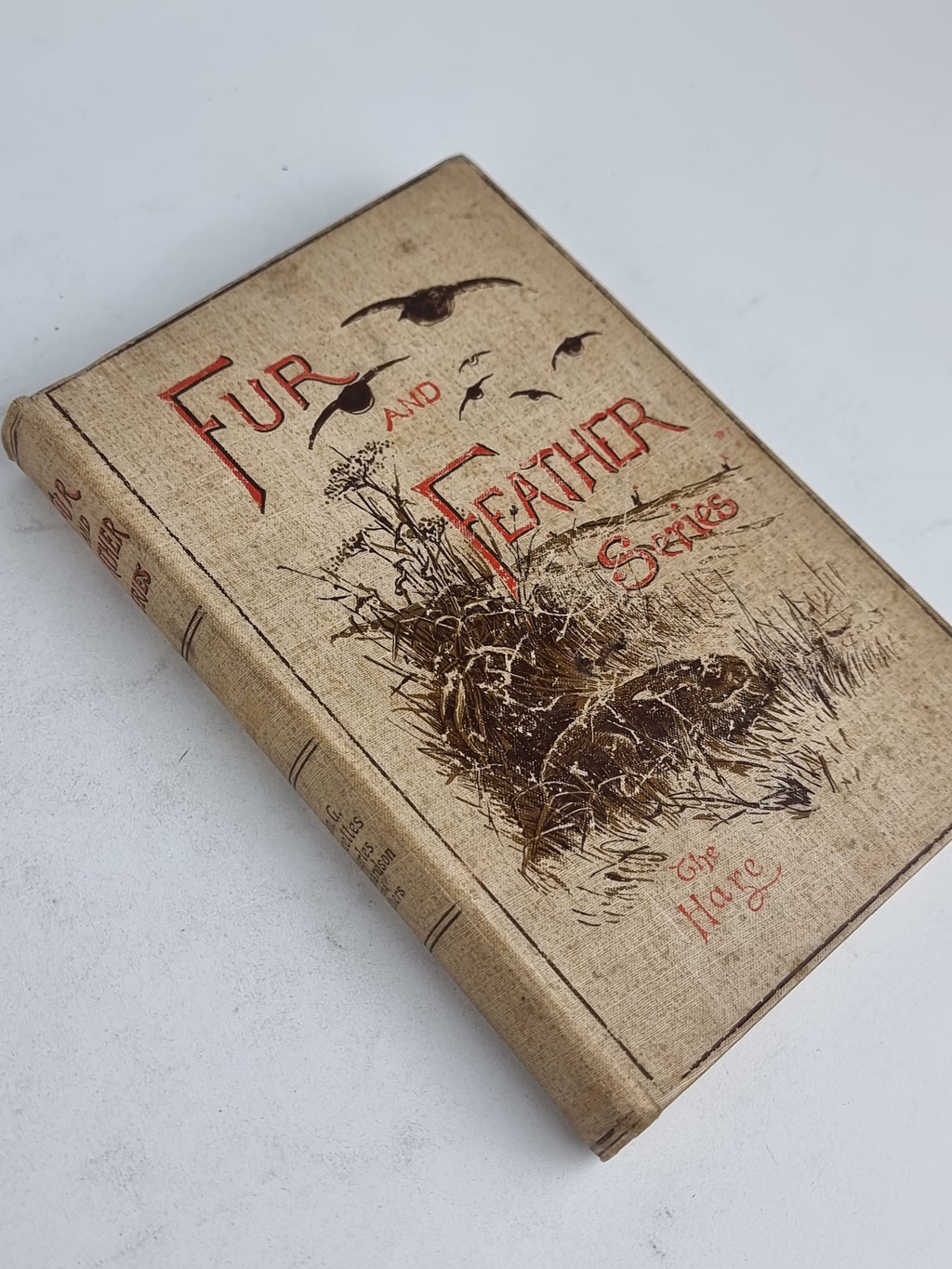 The Hare, Rev. H. A. Macpherson et al. — 1st Edition