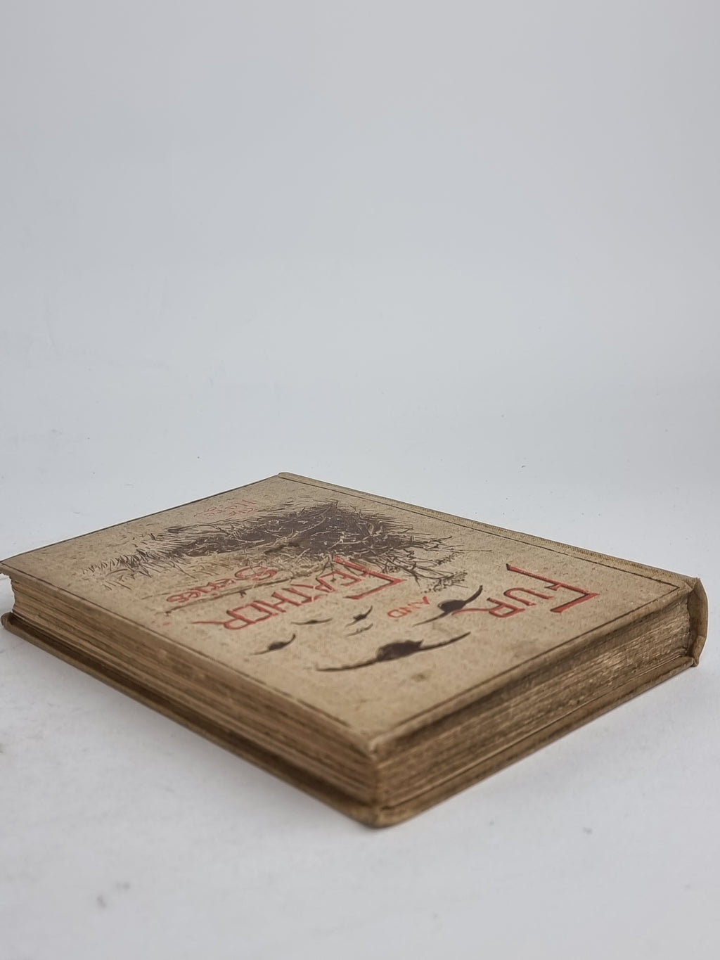 The Hare, Rev. H. A. Macpherson et al. — 1st Edition
