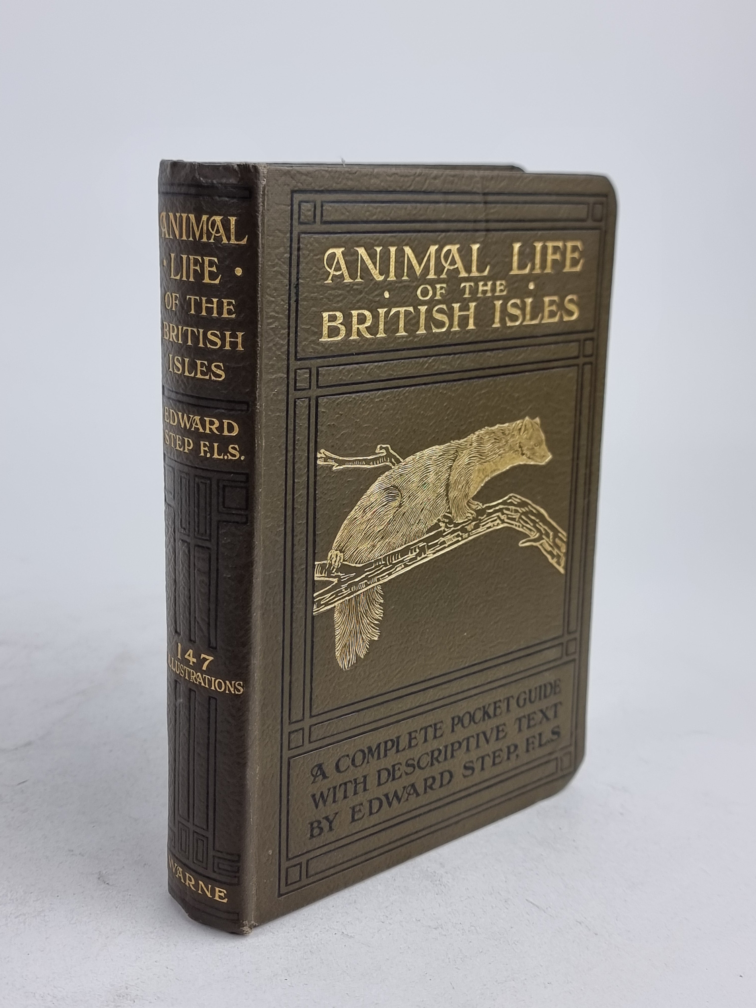 Animal Life of the British Isles, Edward Step, F.L.S. — 3rd Impression