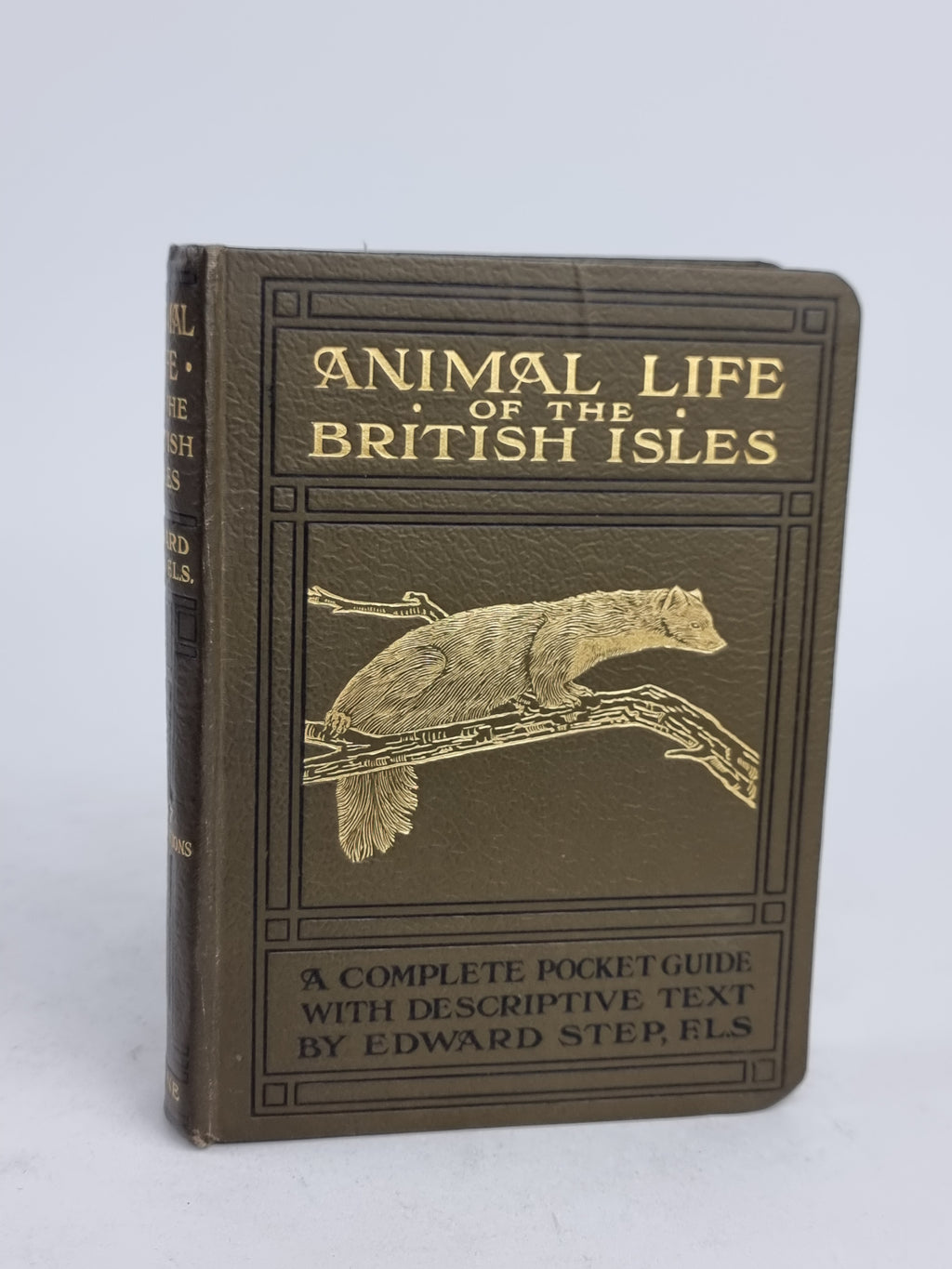 Animal Life of the British Isles, Edward Step, F.L.S. — 3rd Impression