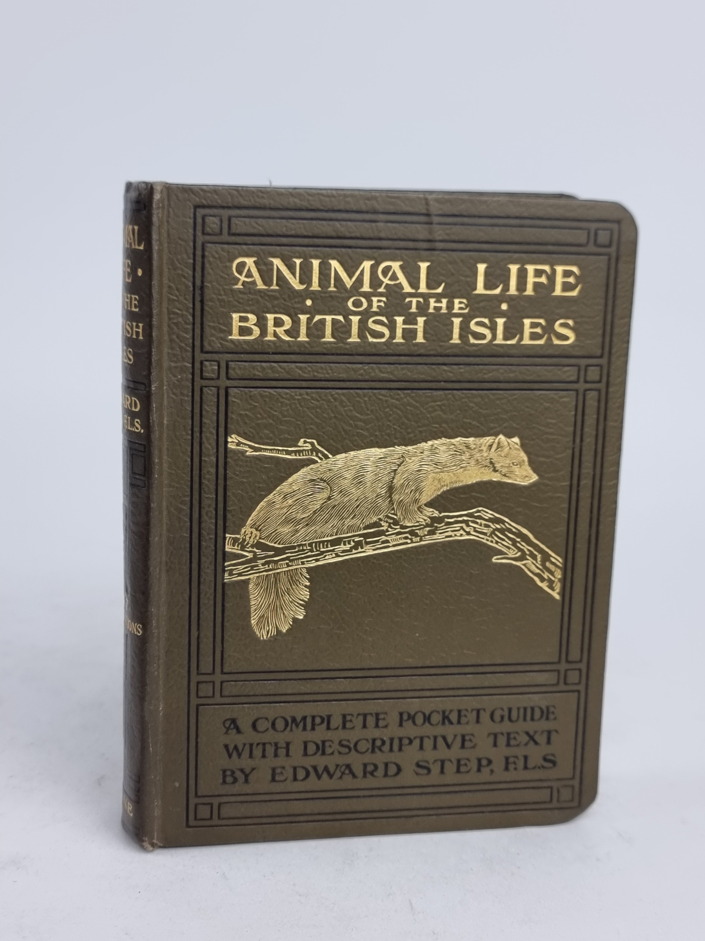 Animal Life of the British Isles, Edward Step, F.L.S. — 3rd Impression