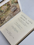 Animal Life of the British Isles, Edward Step, F.L.S. — 3rd Impression