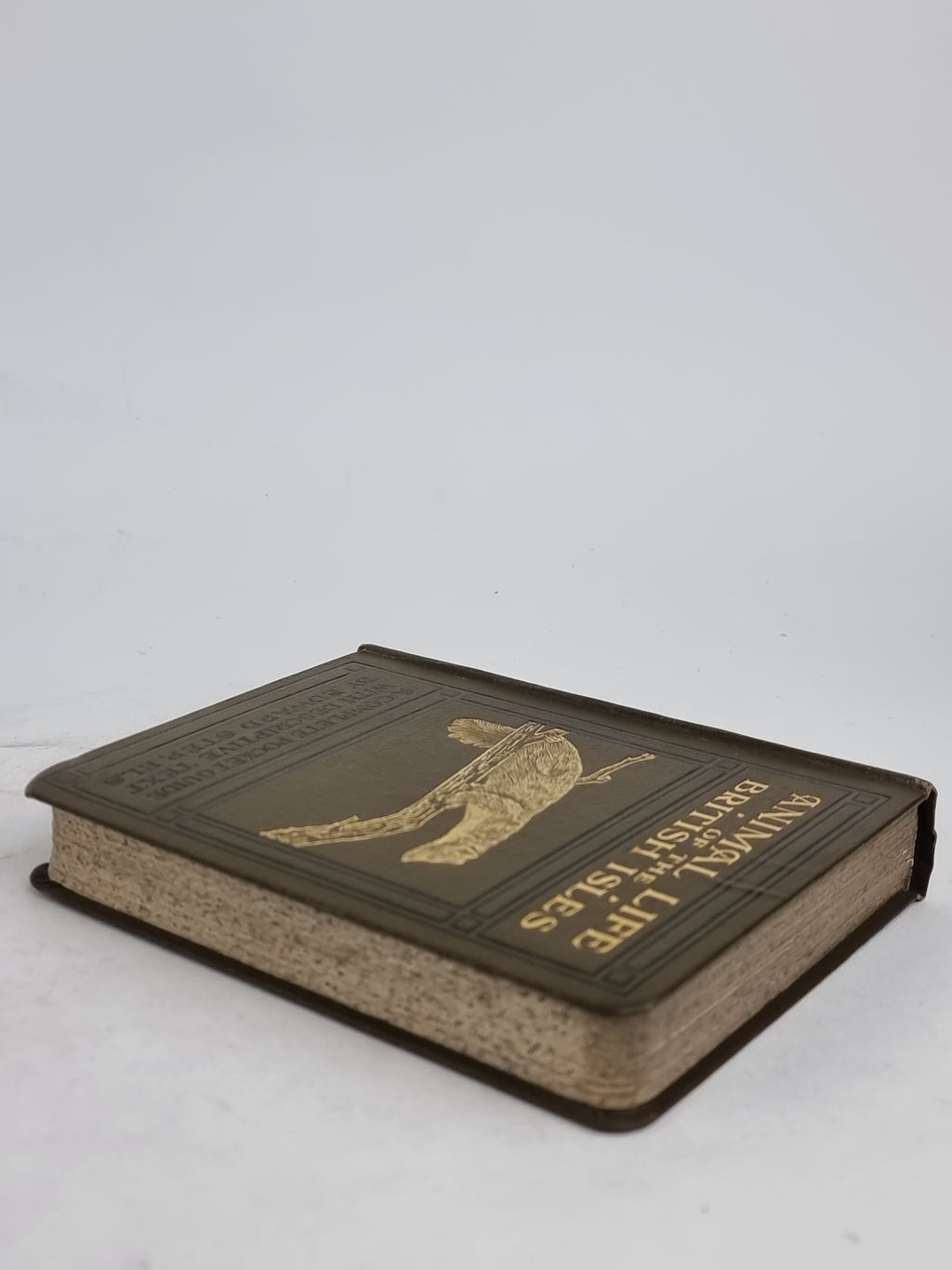 Animal Life of the British Isles, Edward Step, F.L.S. — 3rd Impression