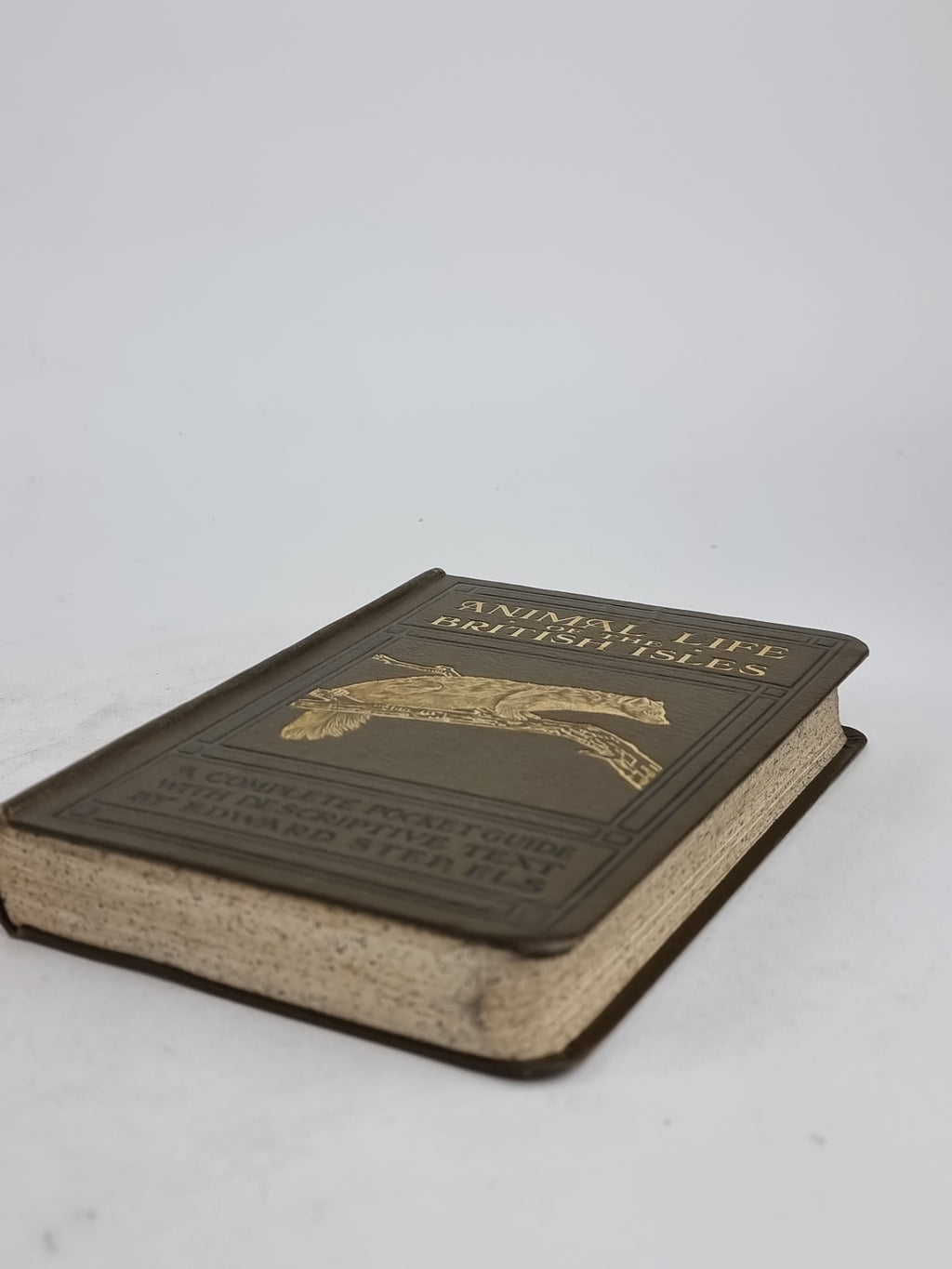 Animal Life of the British Isles, Edward Step, F.L.S. — 3rd Impression