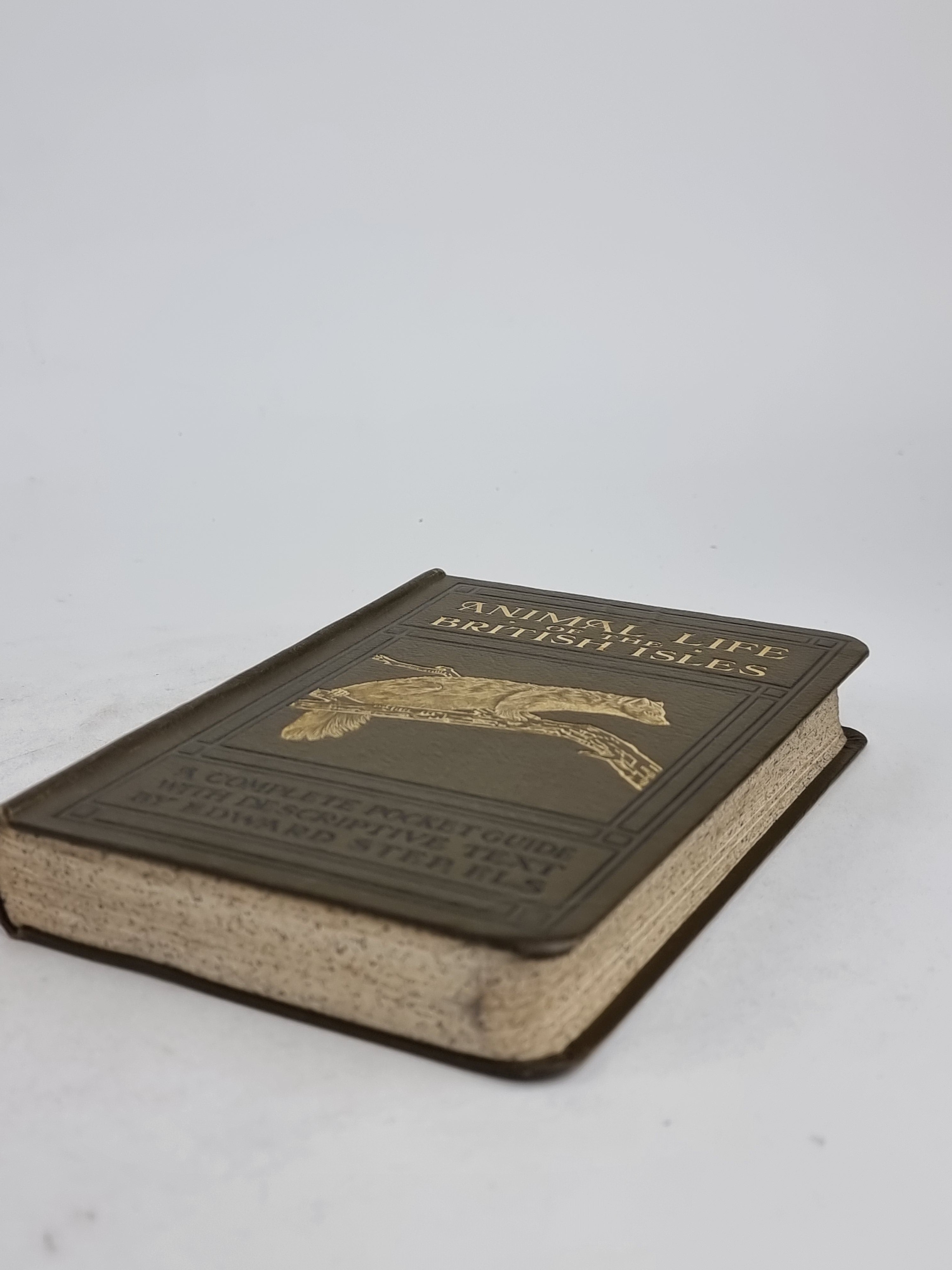 Animal Life of the British Isles, Edward Step, F.L.S. — 3rd Impression