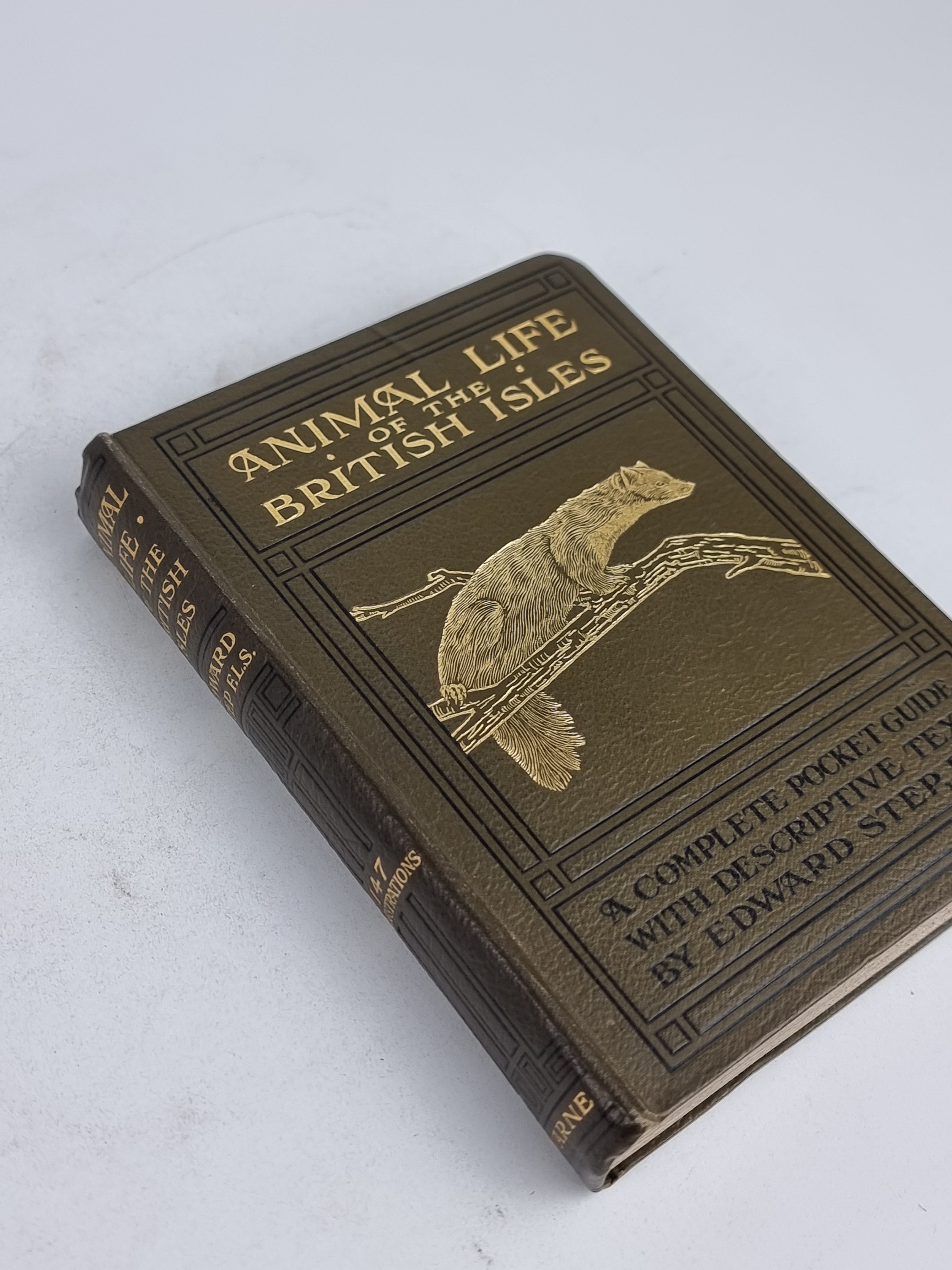 Animal Life of the British Isles, Edward Step, F.L.S. — 3rd Impression