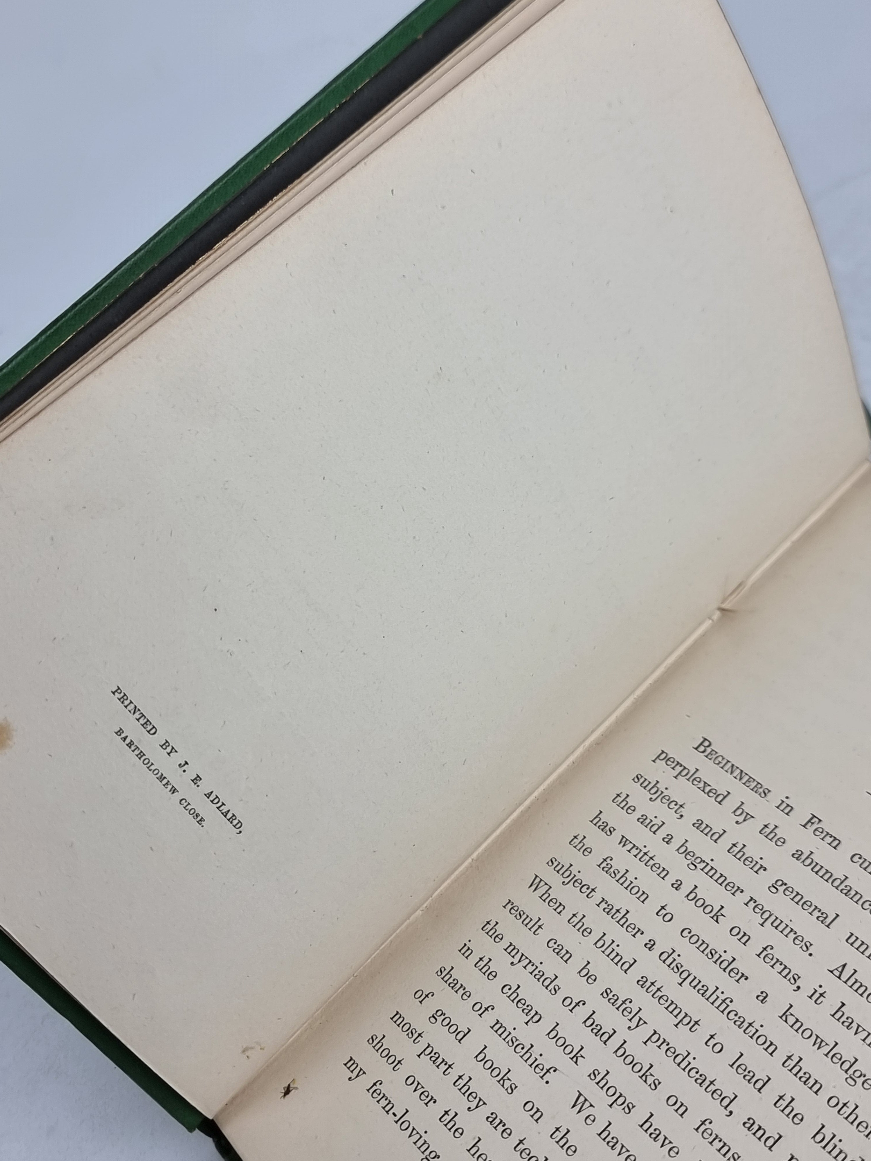 The Fern Garden, Shirley Hibberd — 2nd Edition